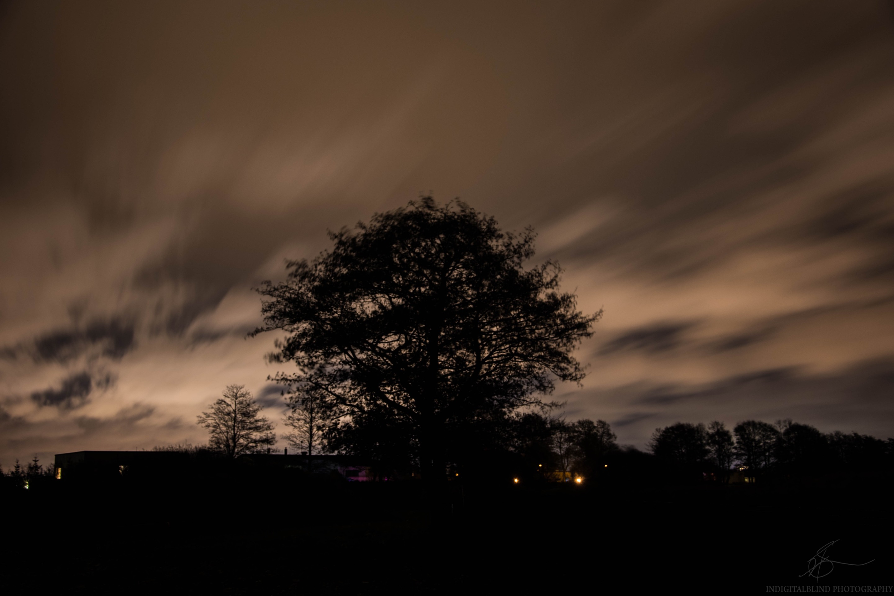 DSC_0012.jpg