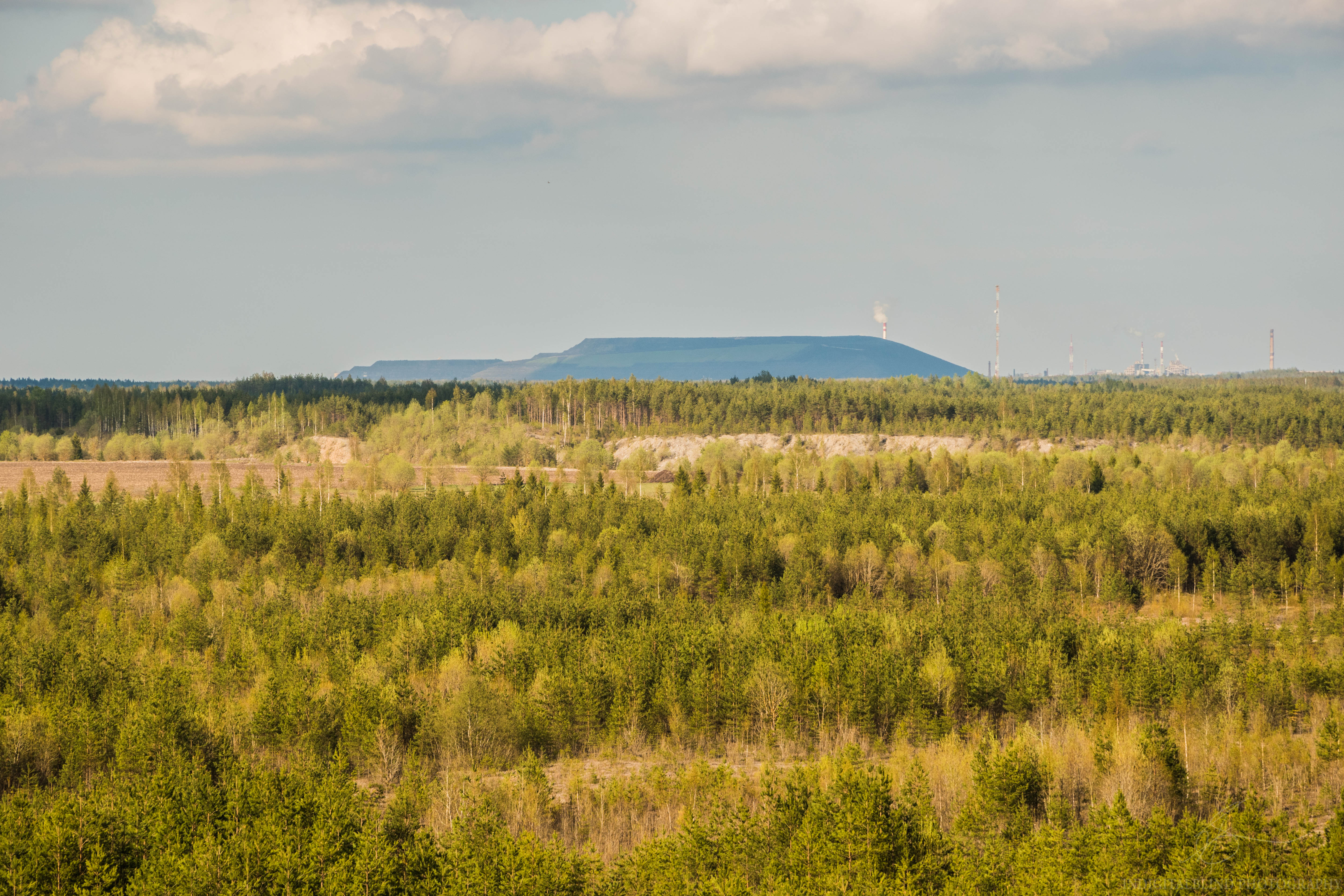 DSC_0414.jpg