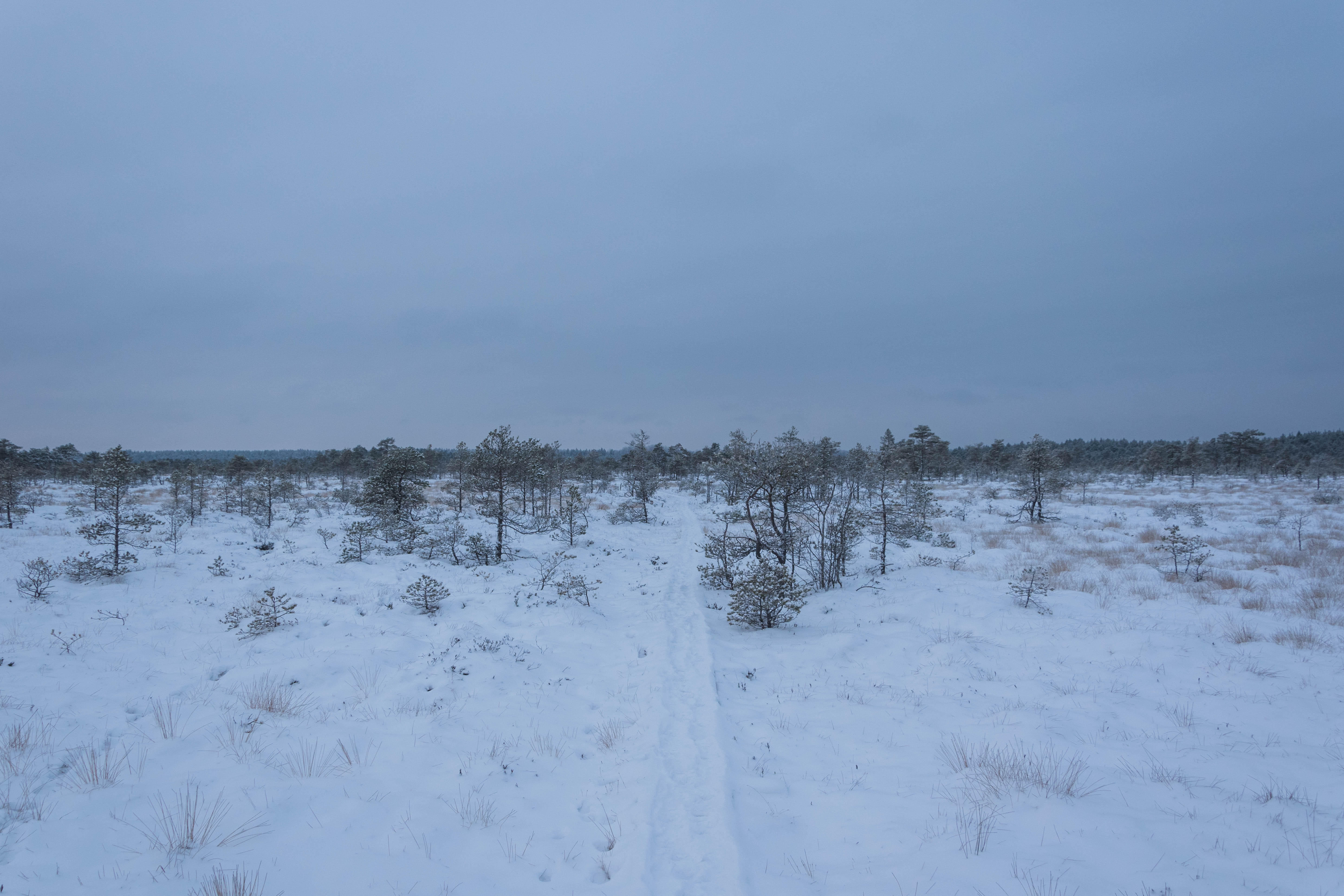 DSC_0019.jpg