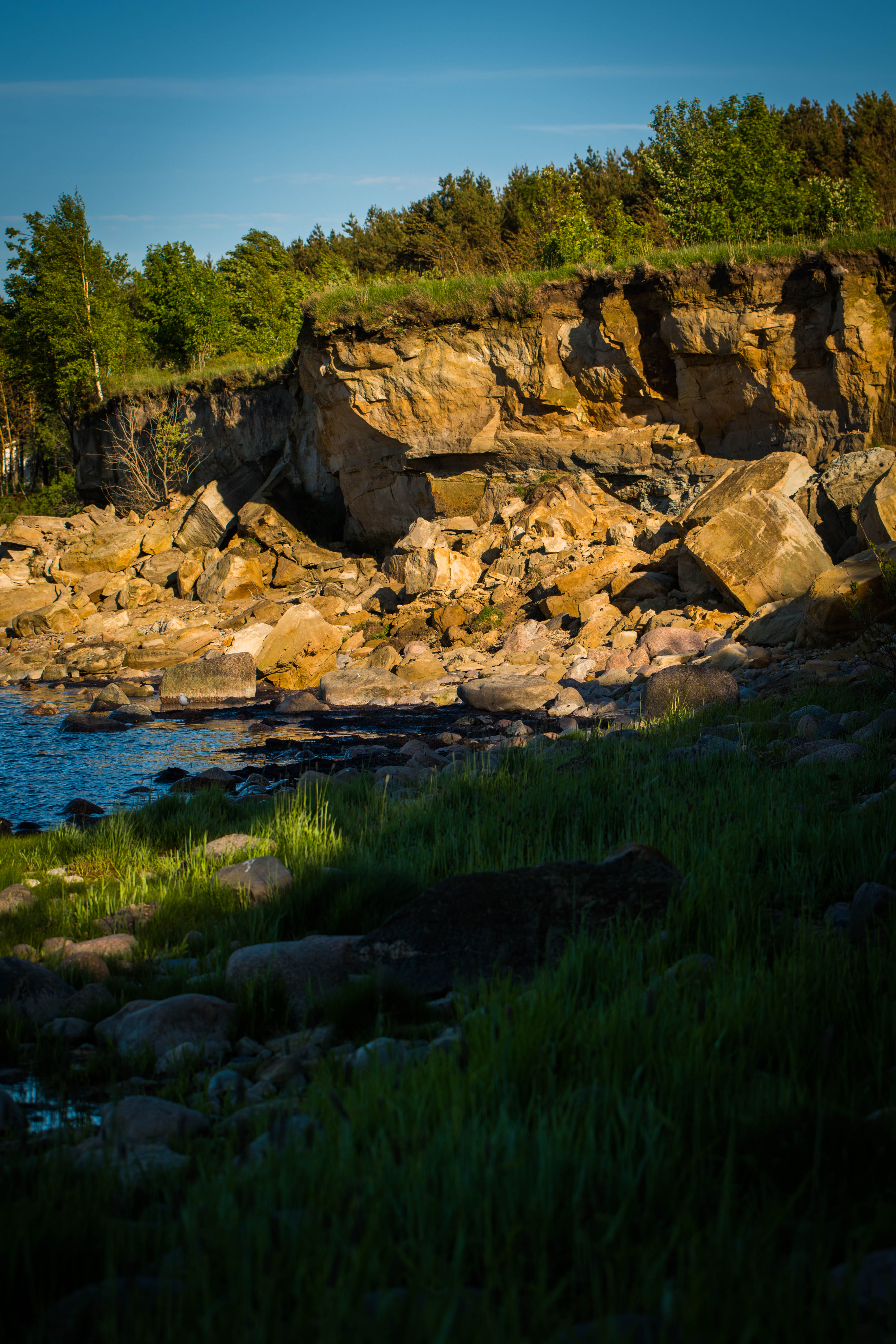 DSC_0472.jpg