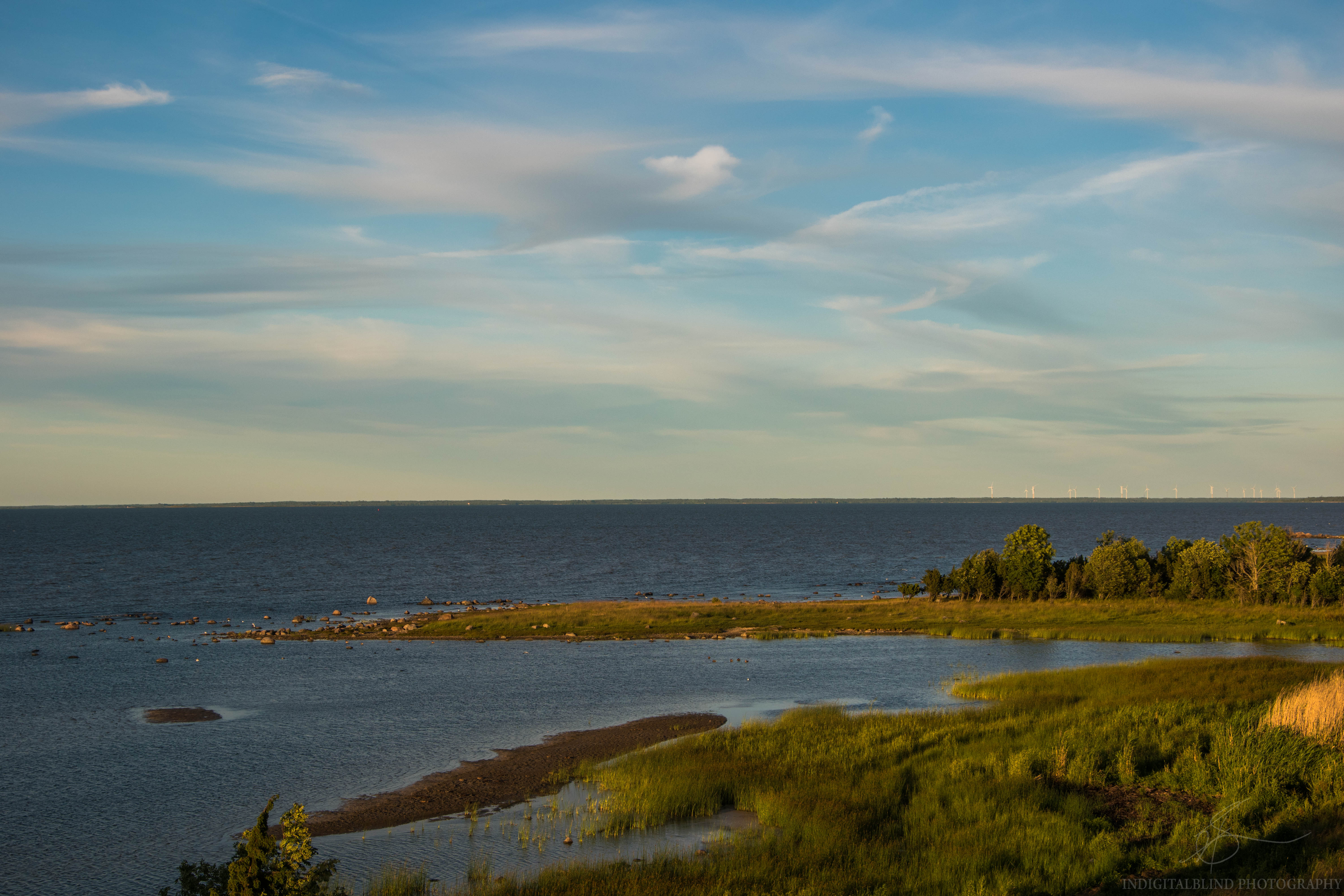 DSC_1170.jpg