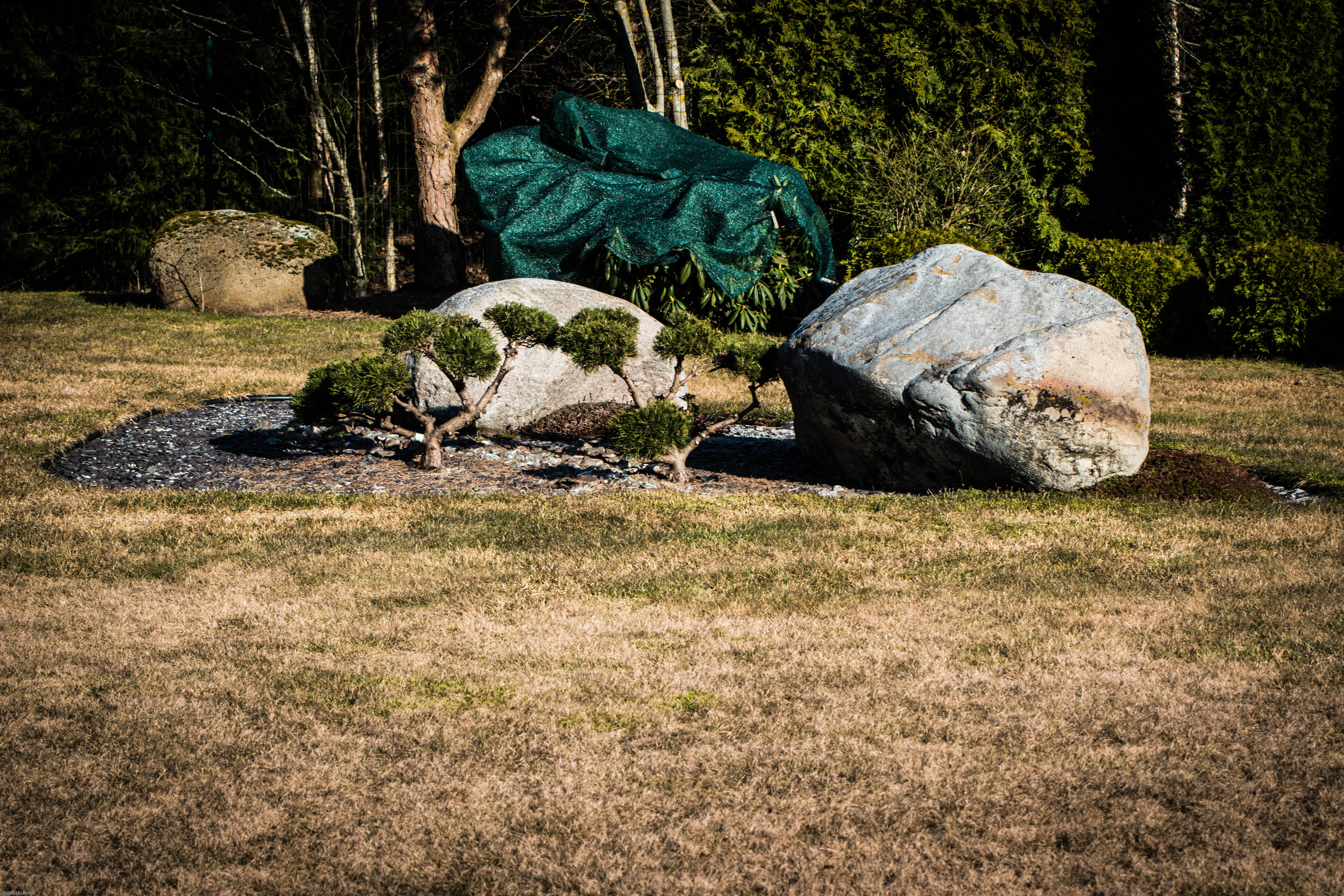 DSC_0039.jpg