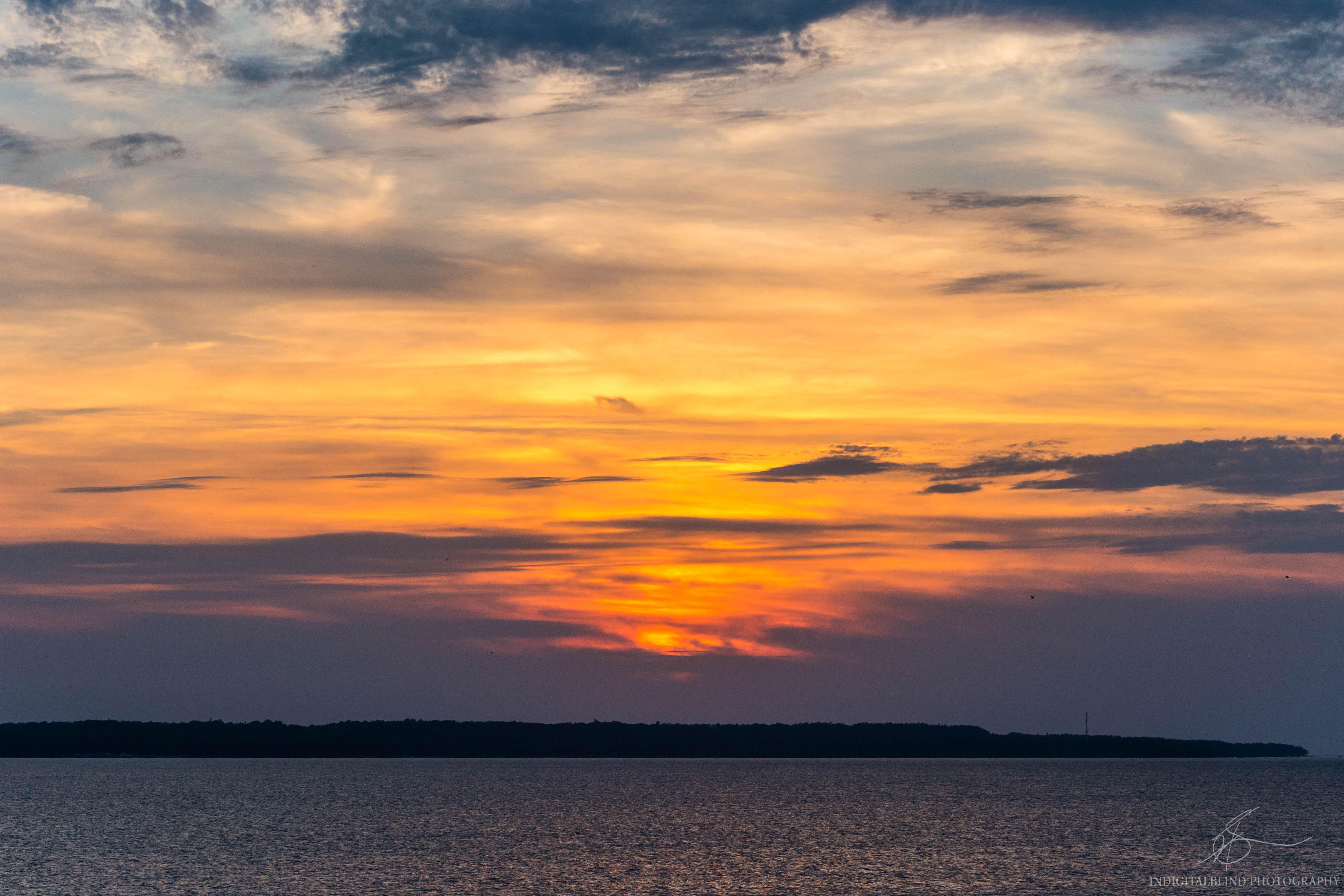 DSC_0842.jpg
