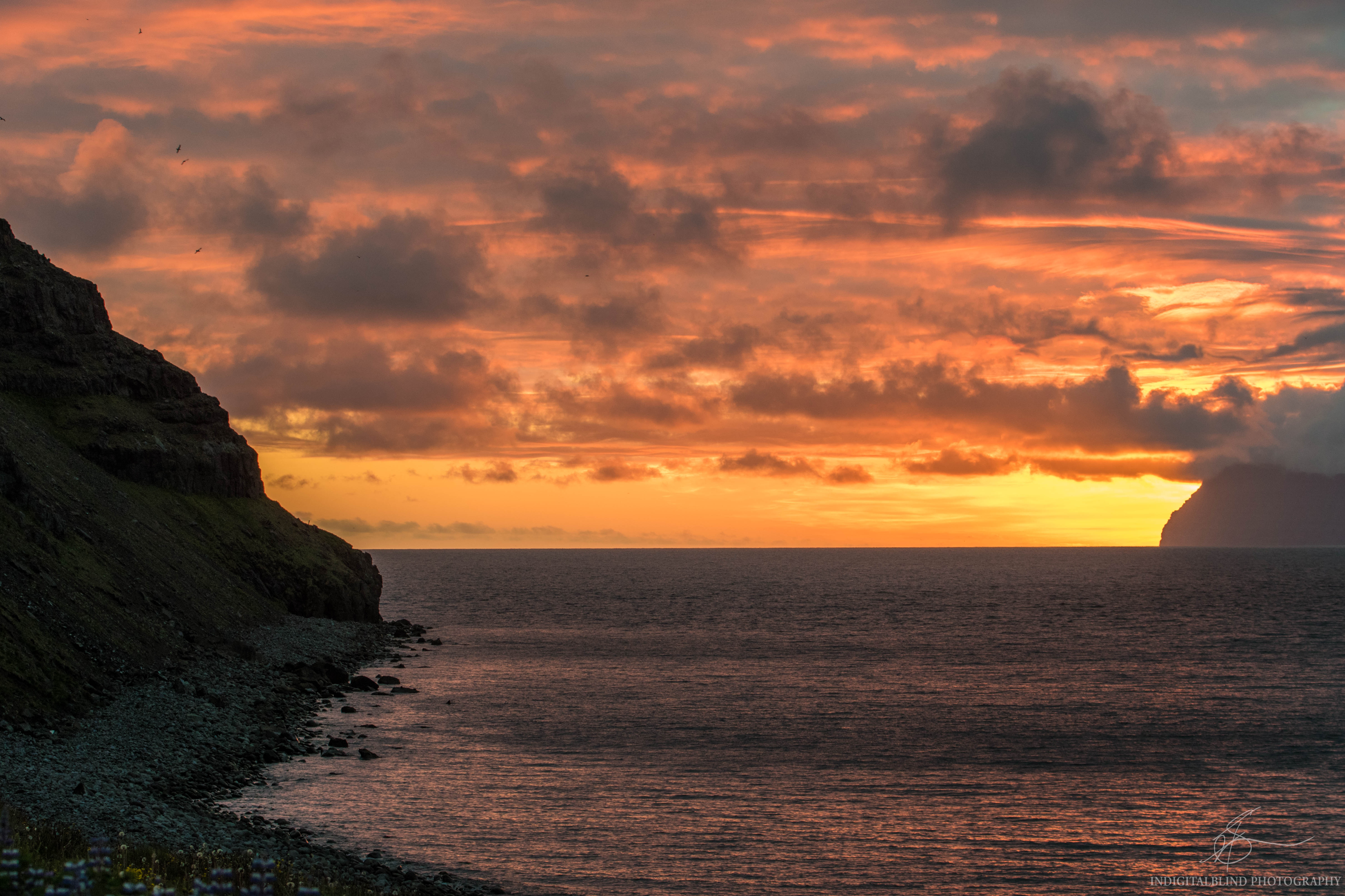 DSC_0157.jpg