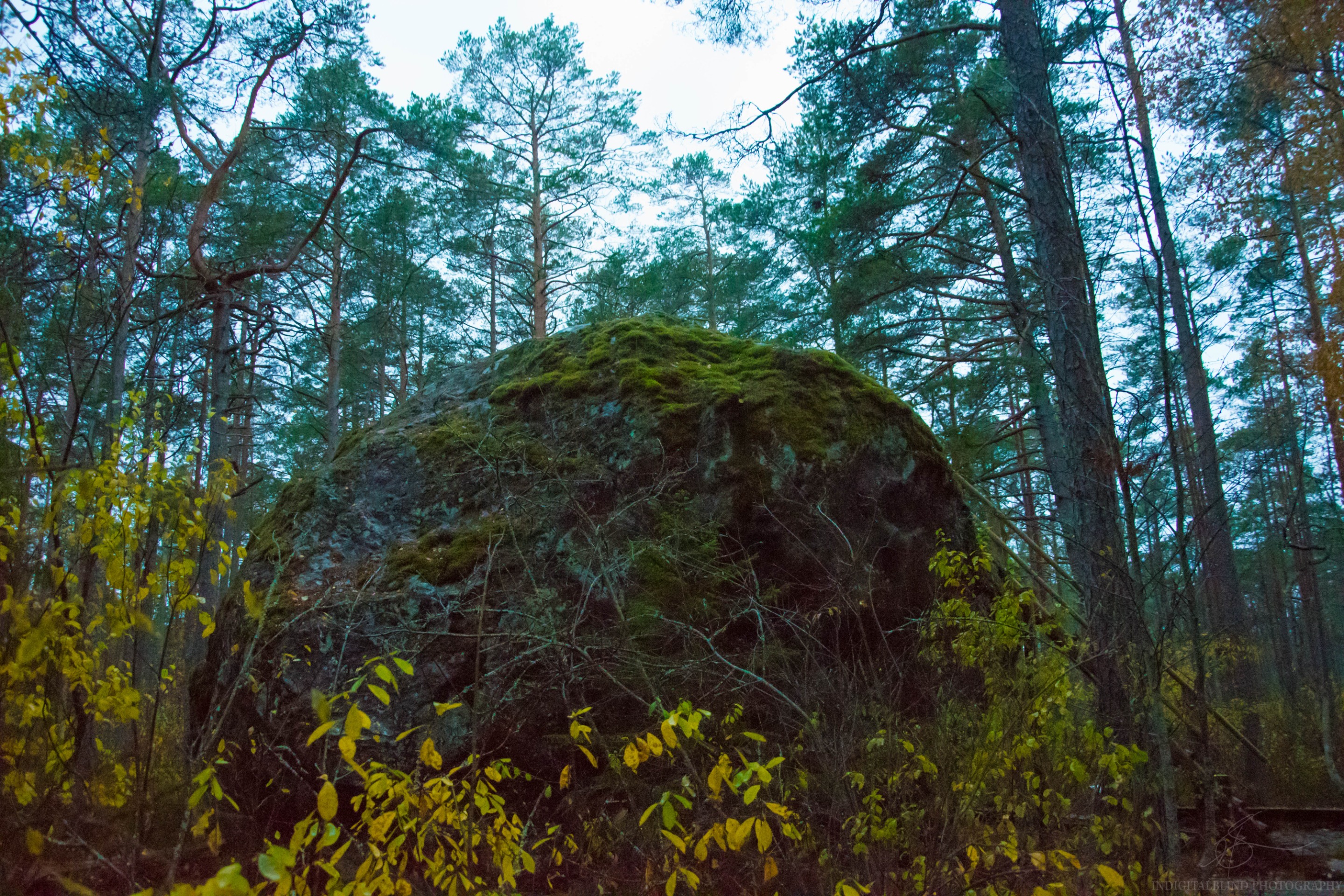 DSC_0069.jpg