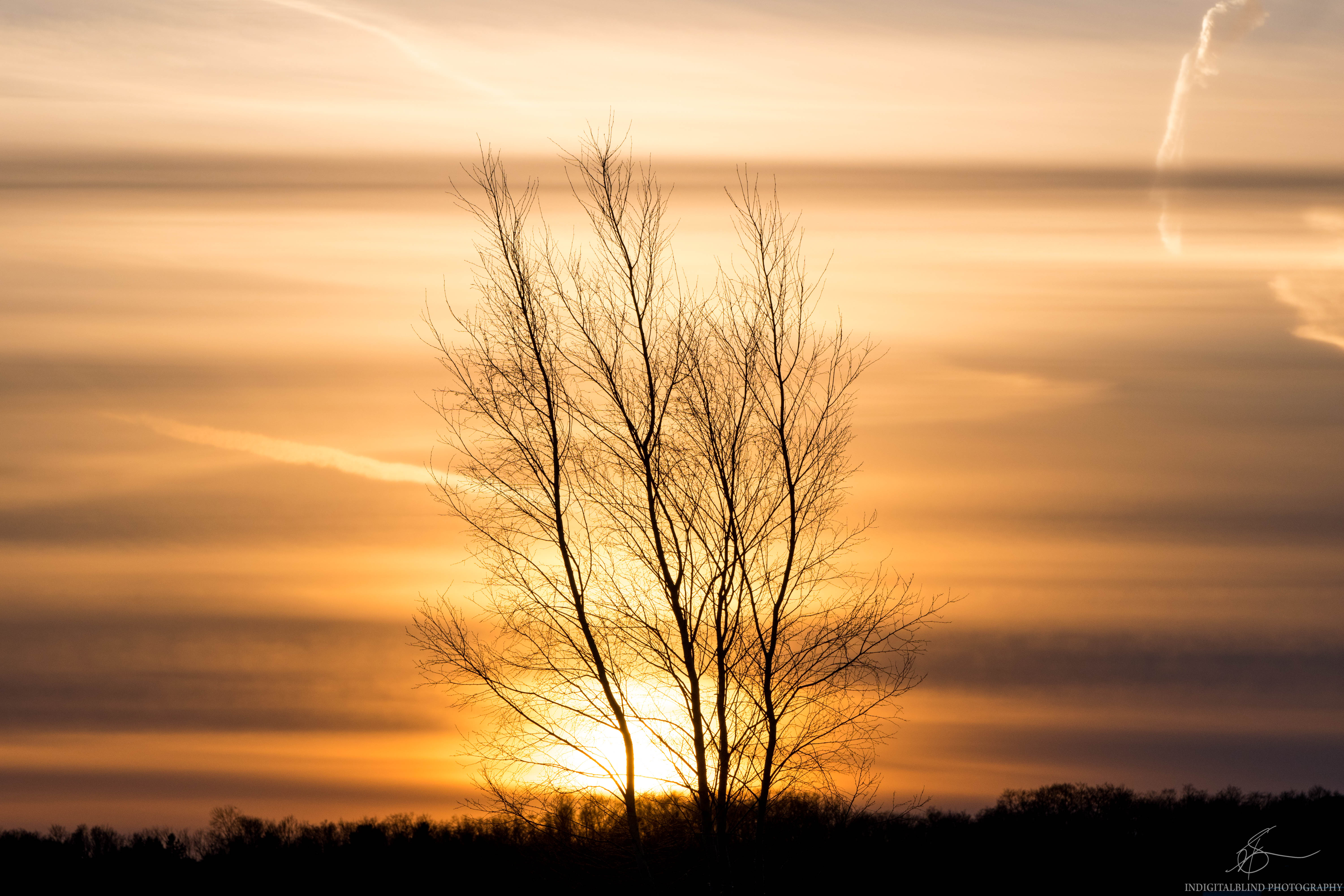DSC_0055.jpg
