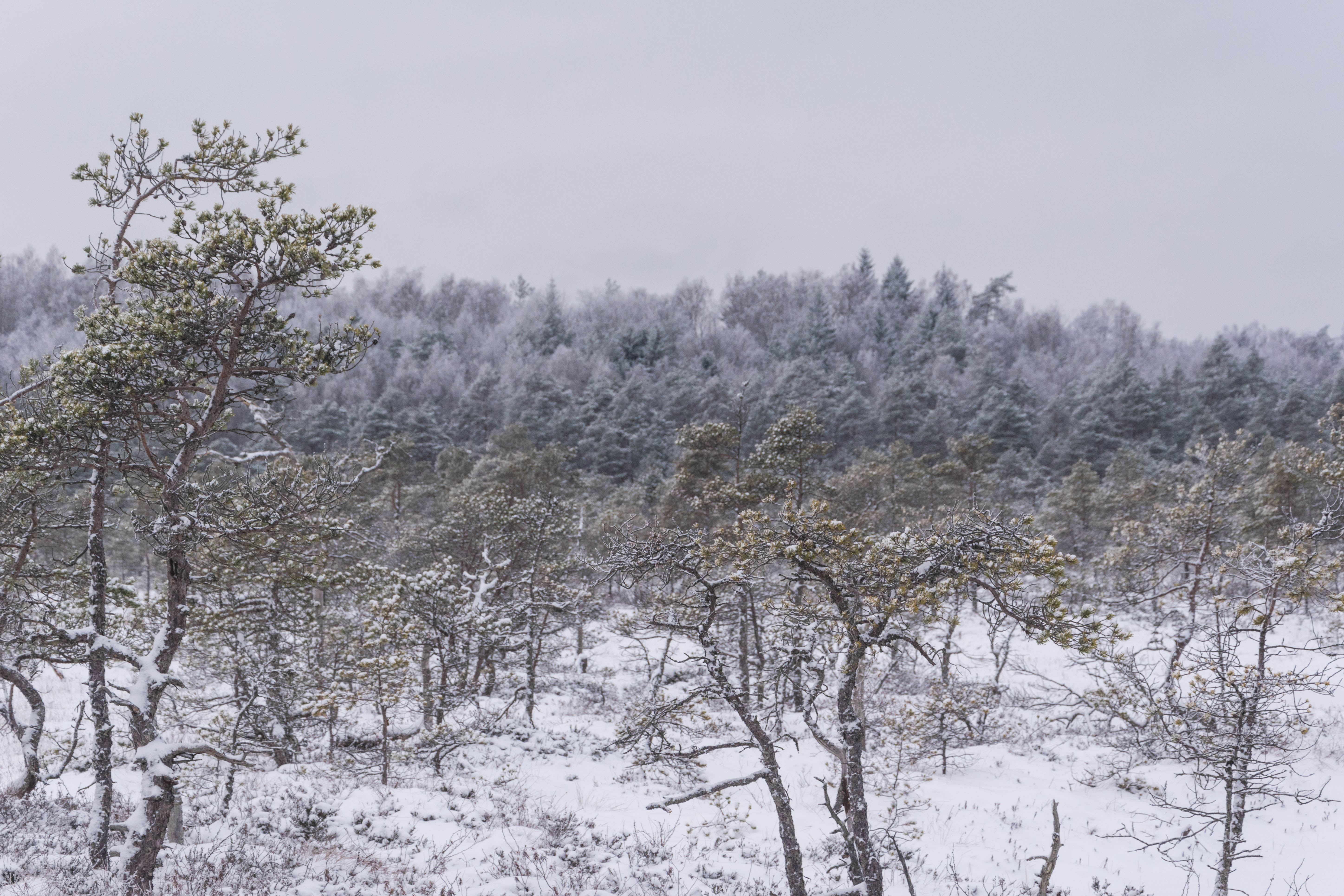 DSC_0029.jpg