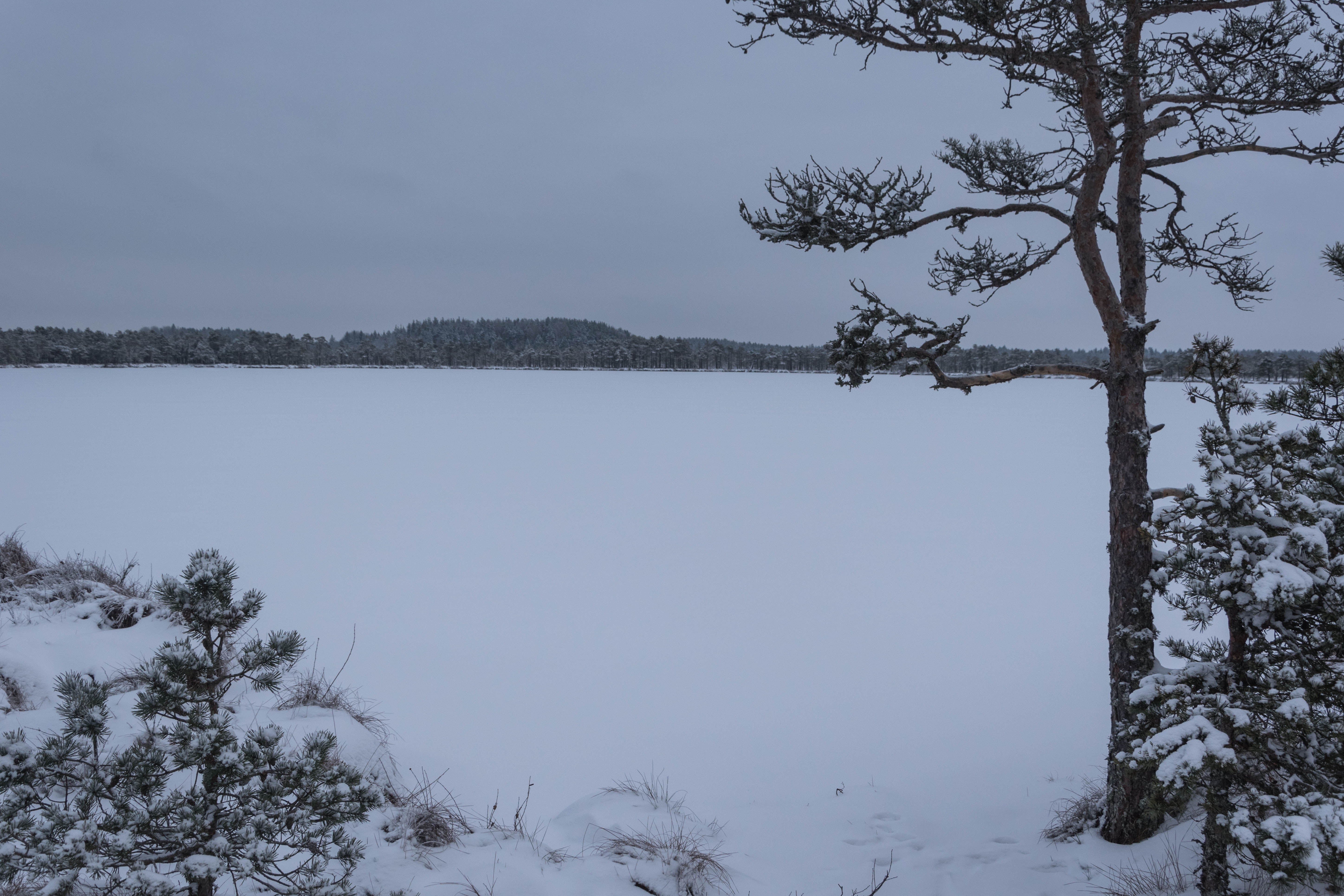 DSC_0026.jpg