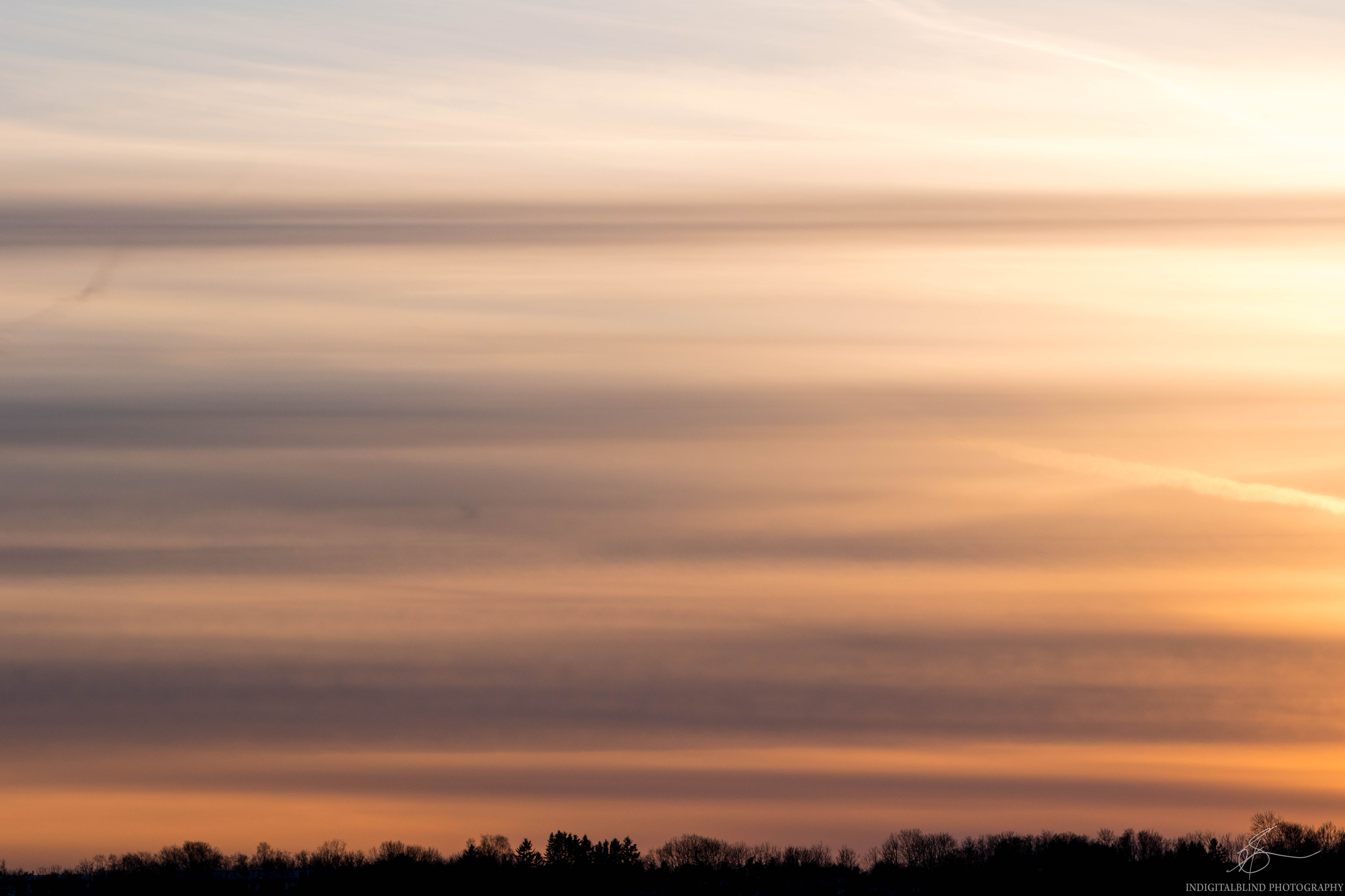 DSC_0057.jpg