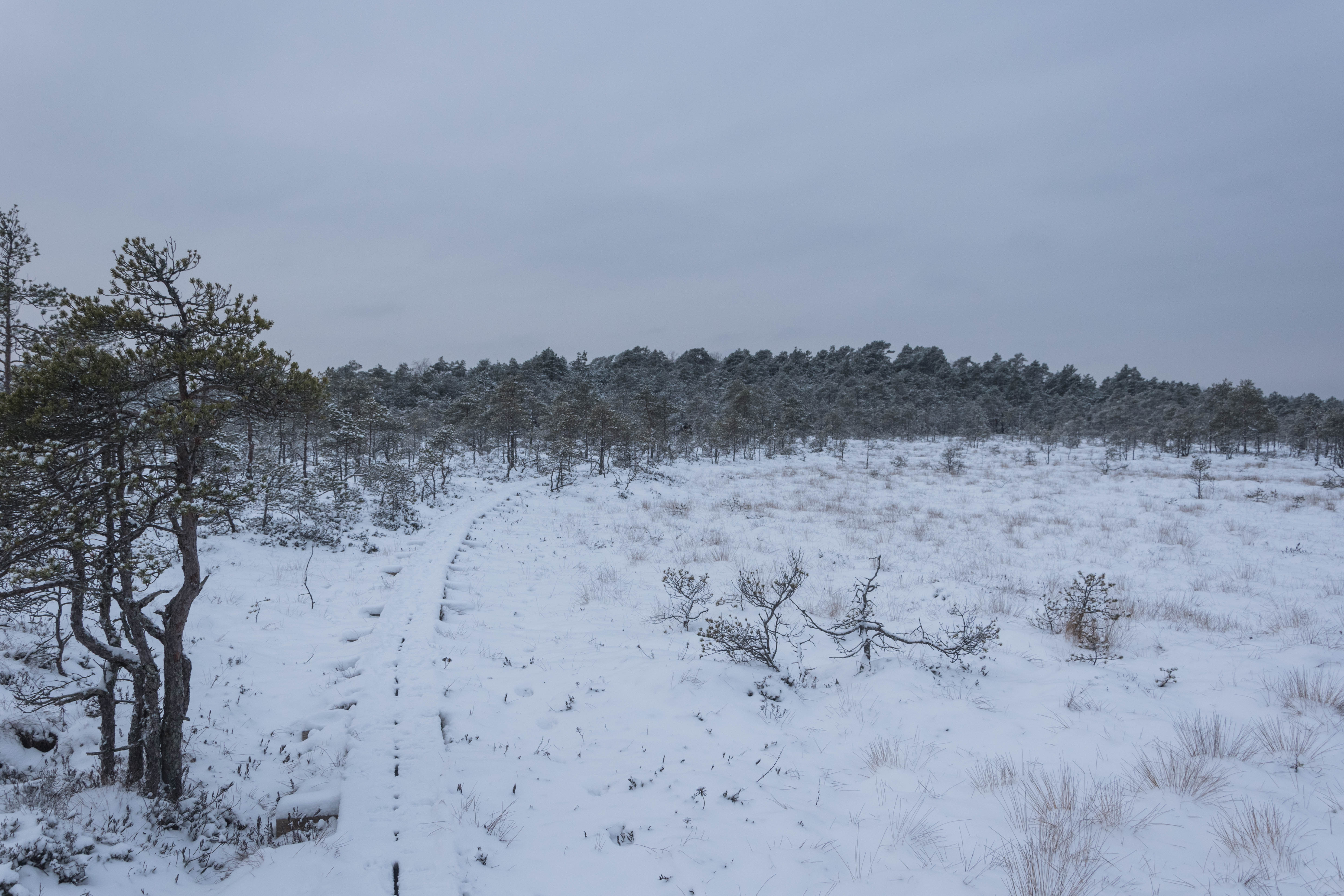 DSC_0023.jpg