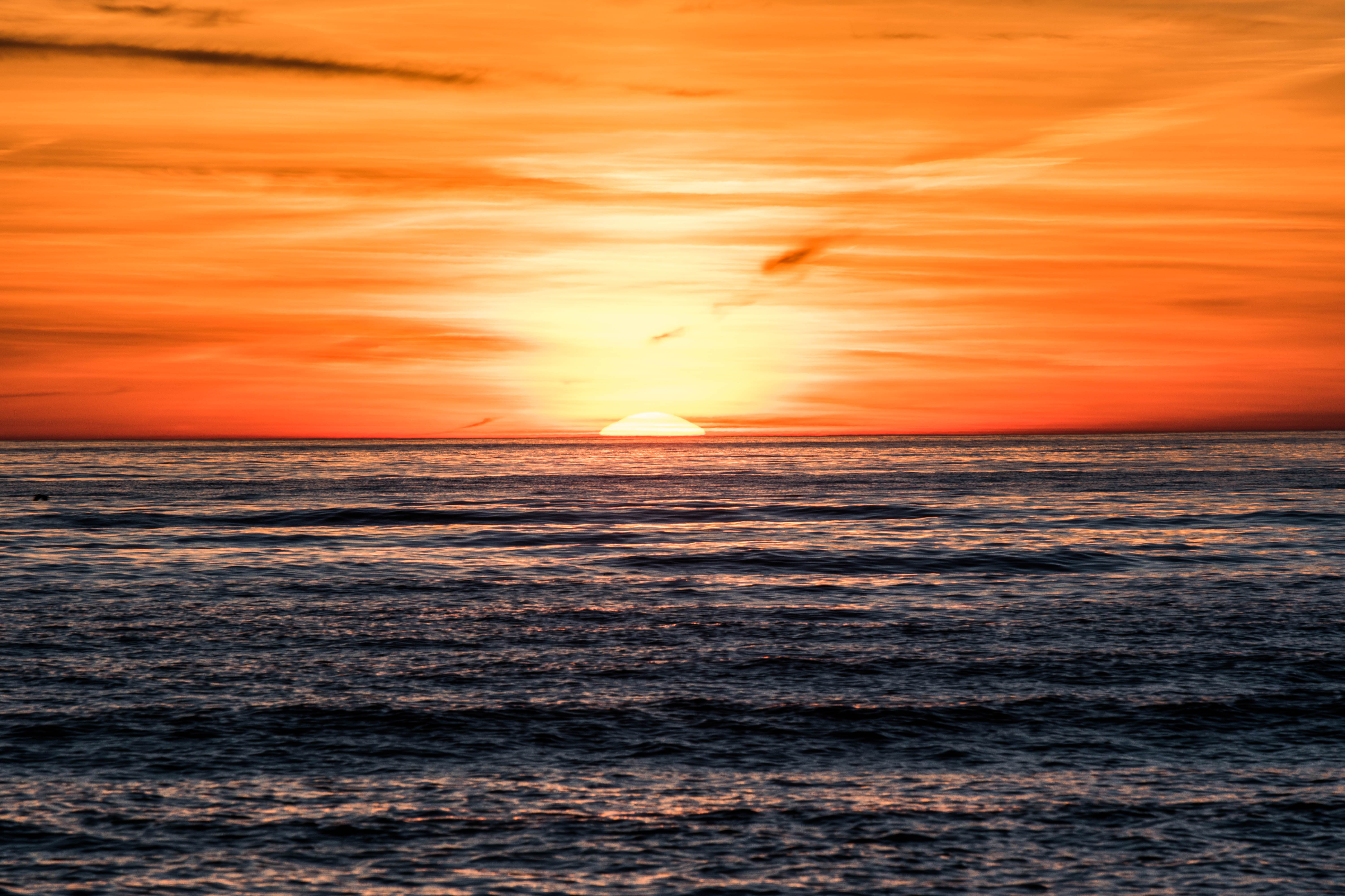 DSC_0088.jpg