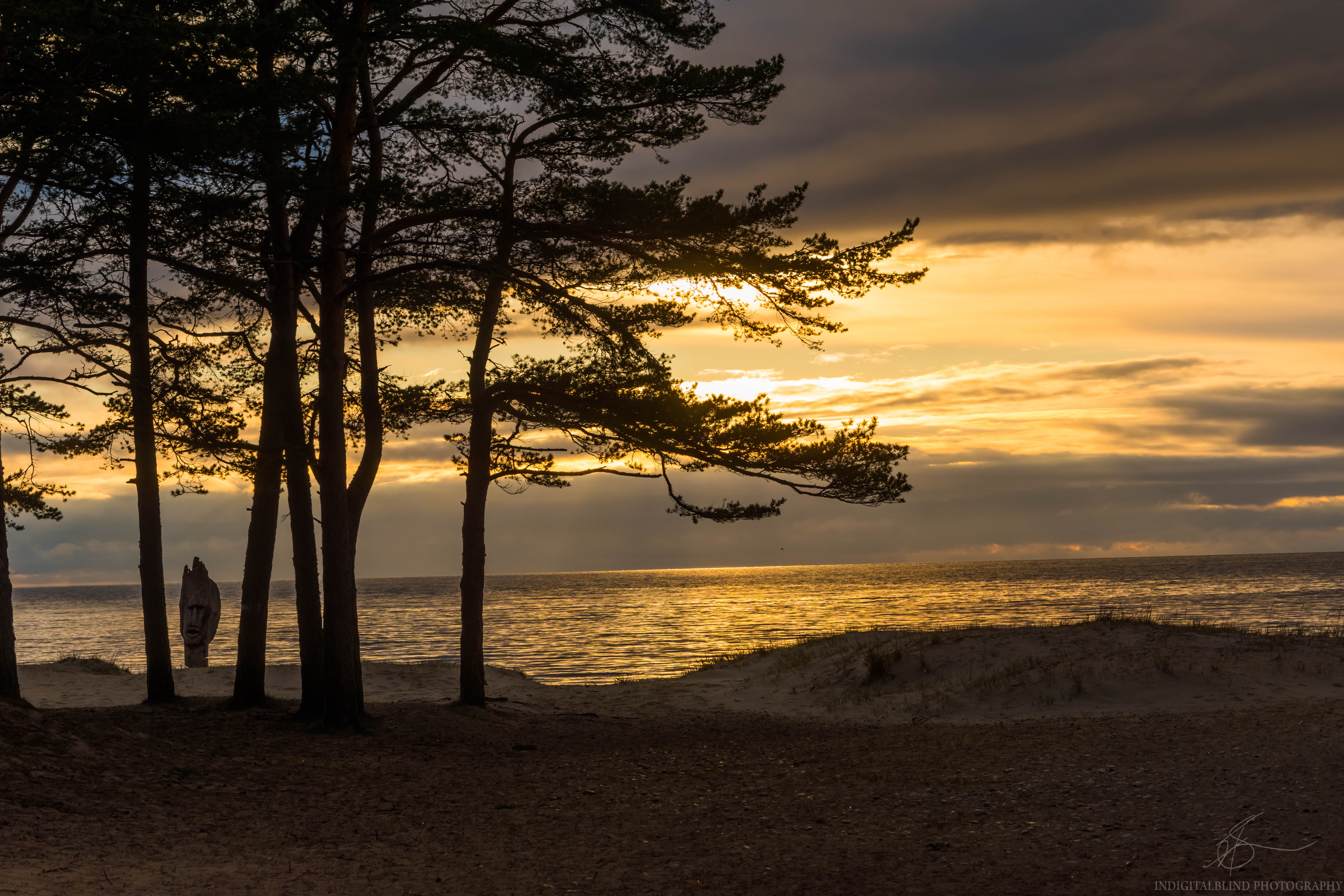 DSC_0587.jpg