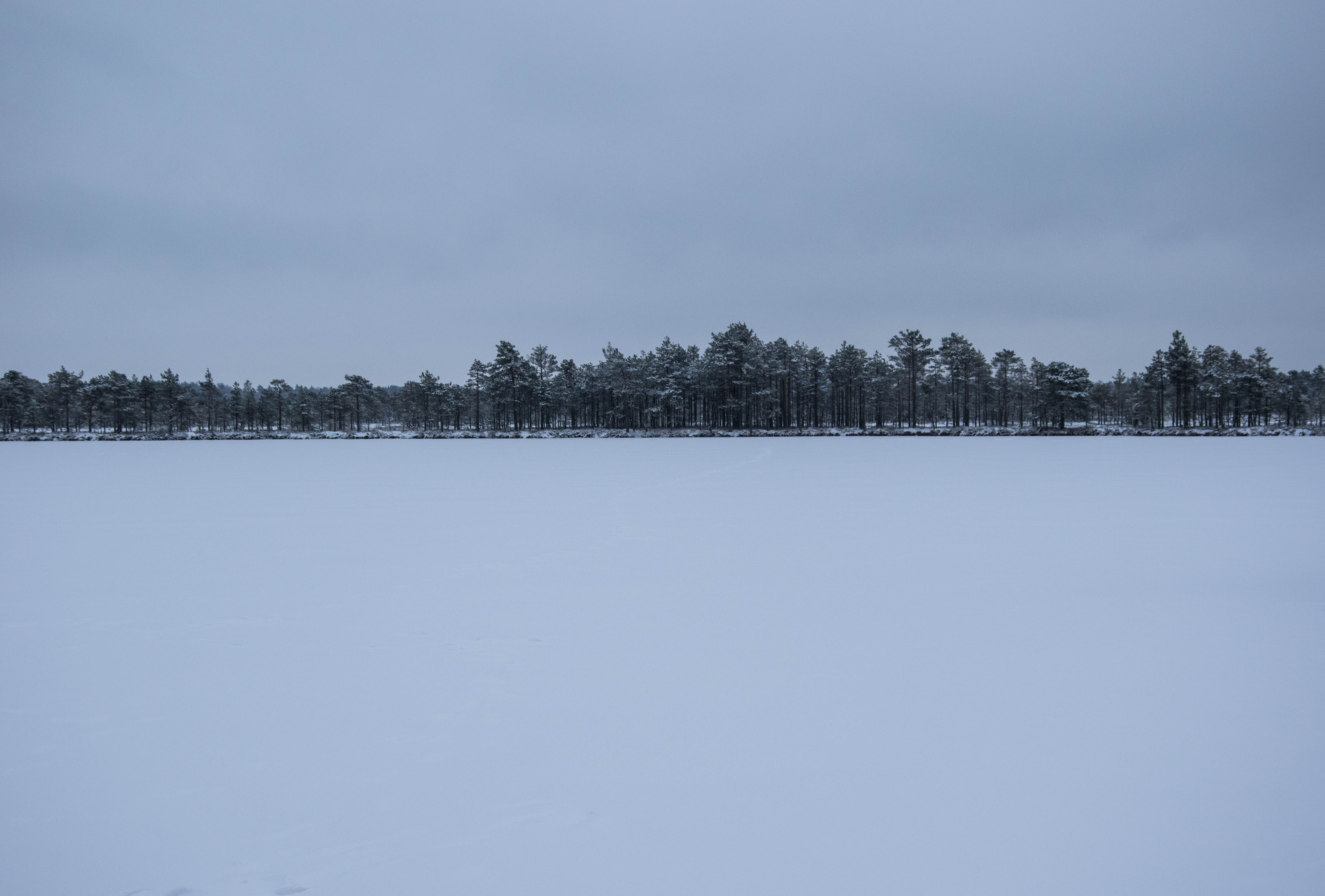 DSC_0028.jpg
