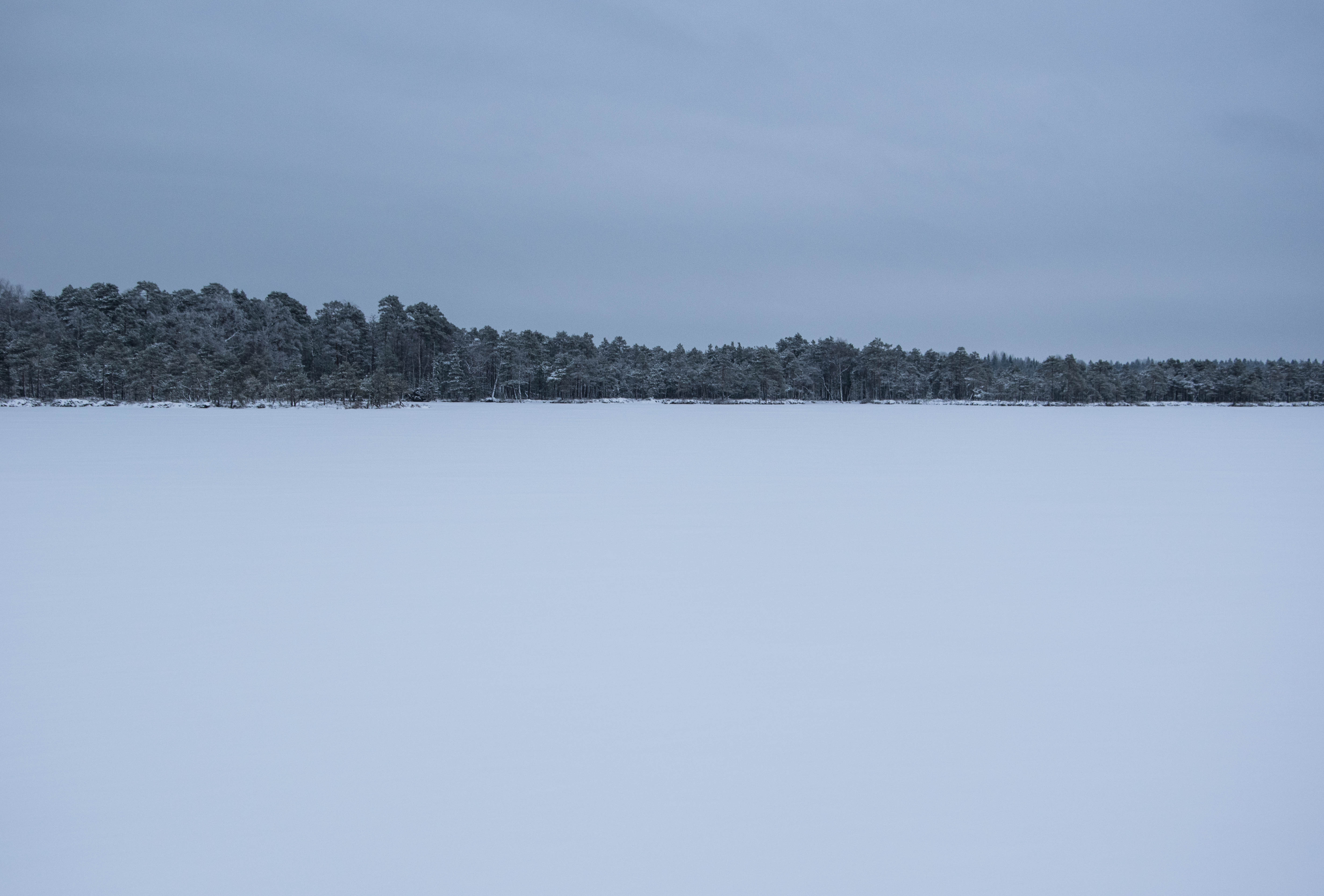 DSC_0027.jpg