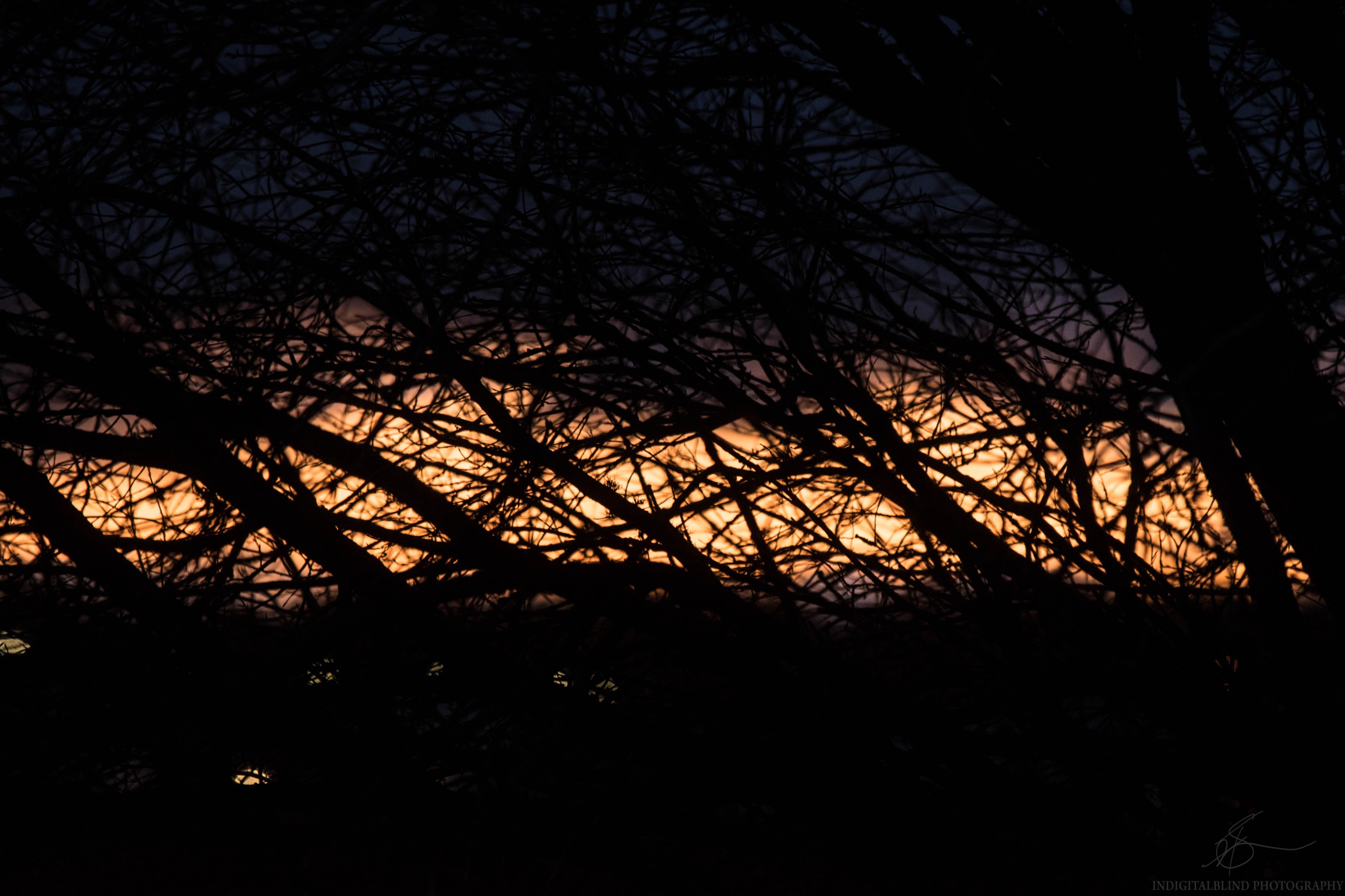 DSC_0060.jpg