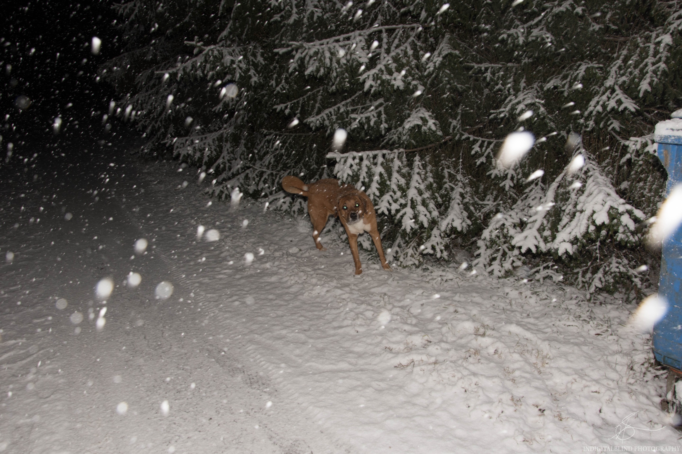 DSC_0025.jpg