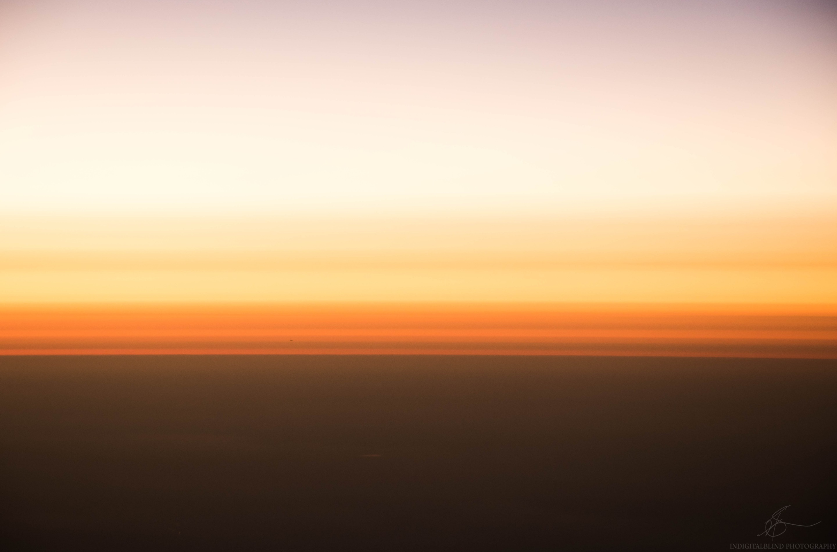 DSC_0021.jpg