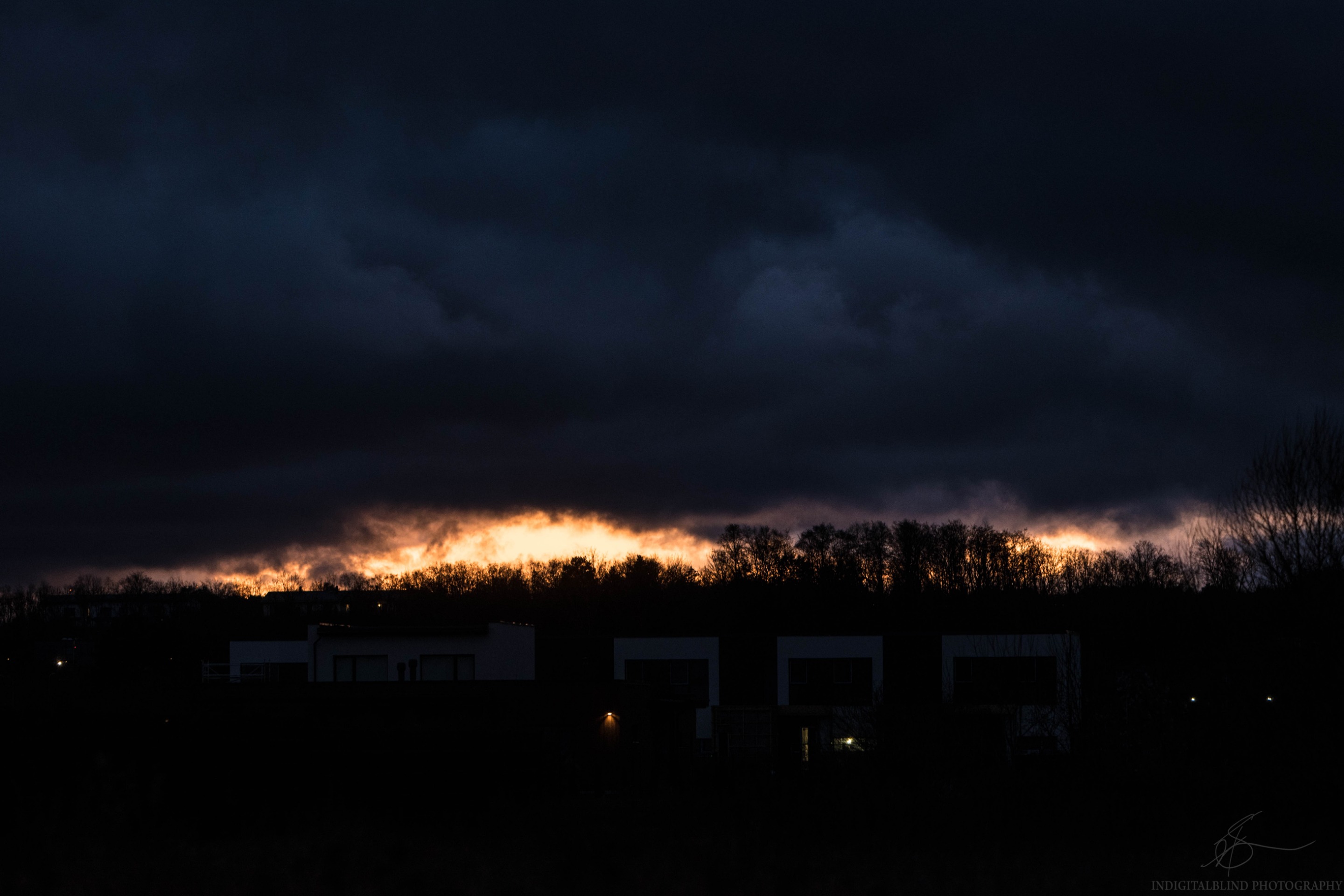 DSC_0056.jpg