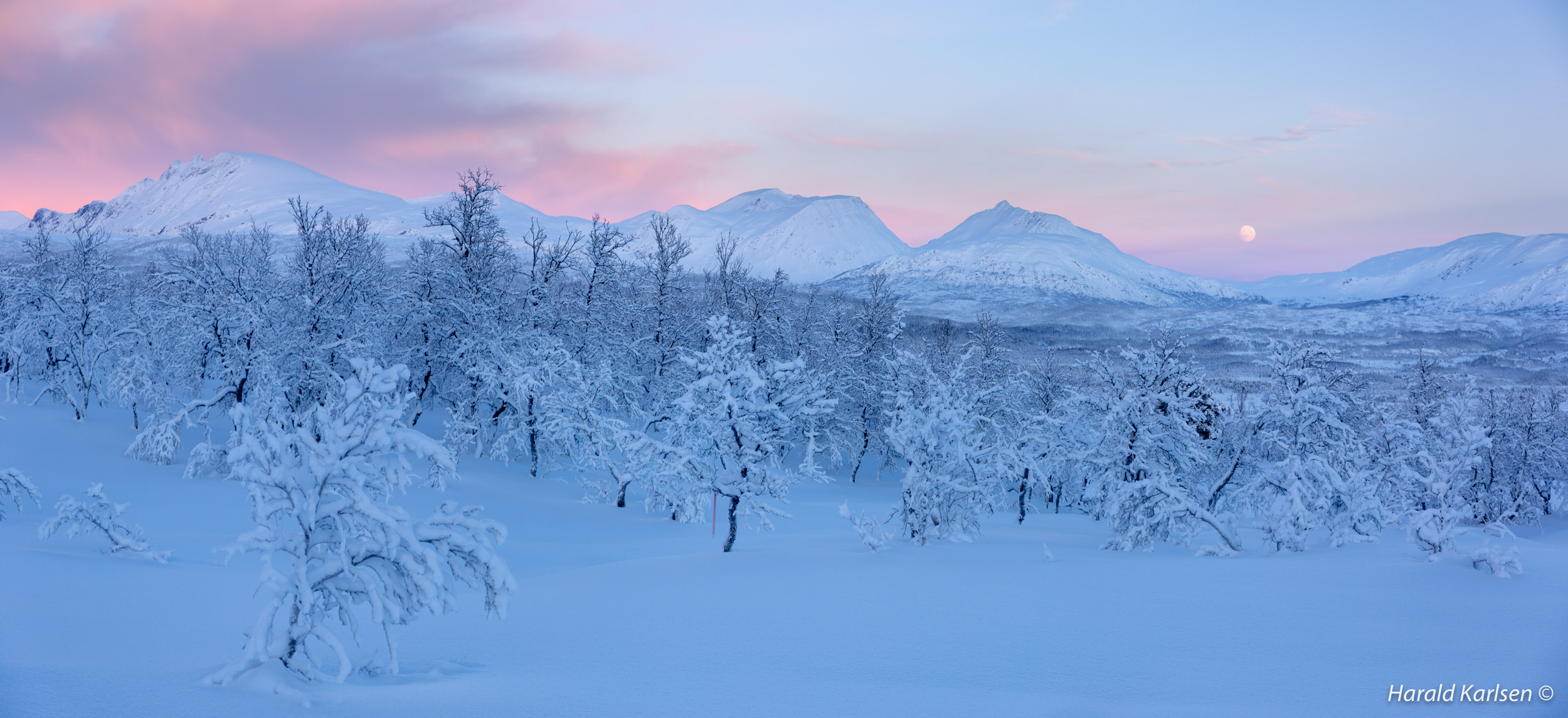 Veggfjellet5.jpg