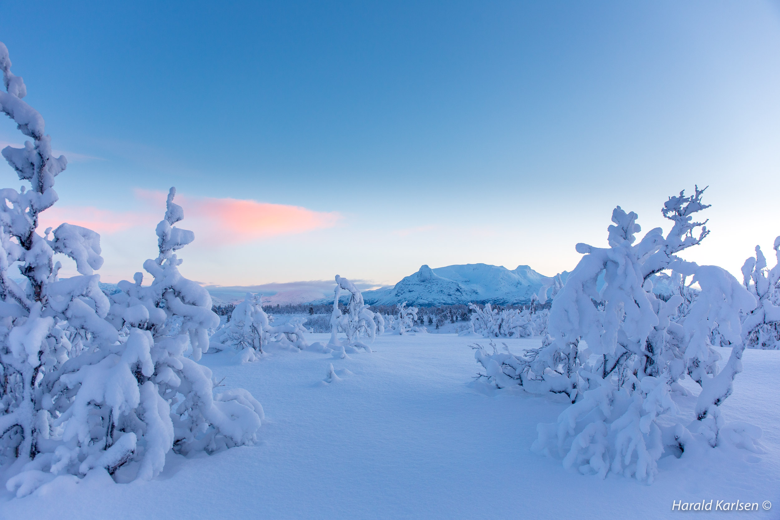 Veggfjellet.jpg