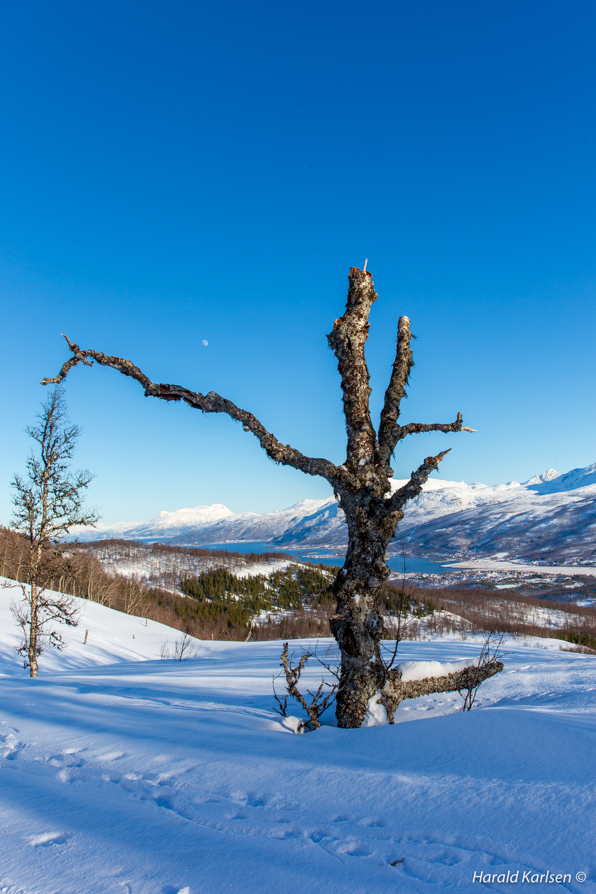 Ballangen2.jpg
