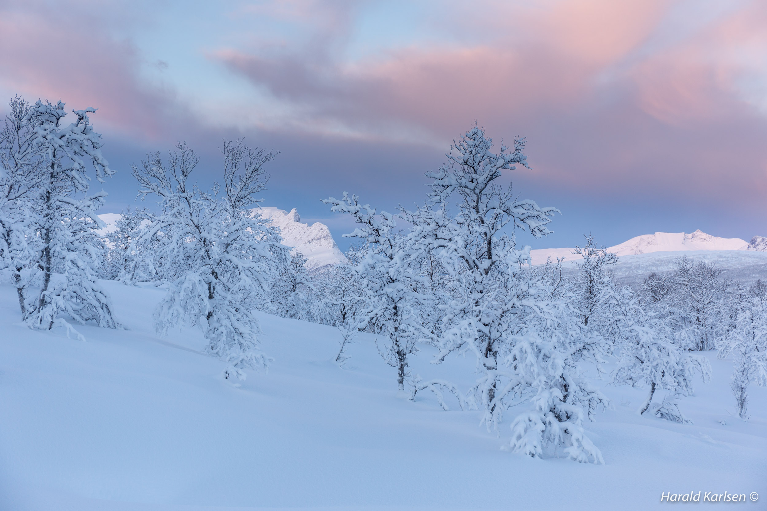 Veggfjellet3.jpg