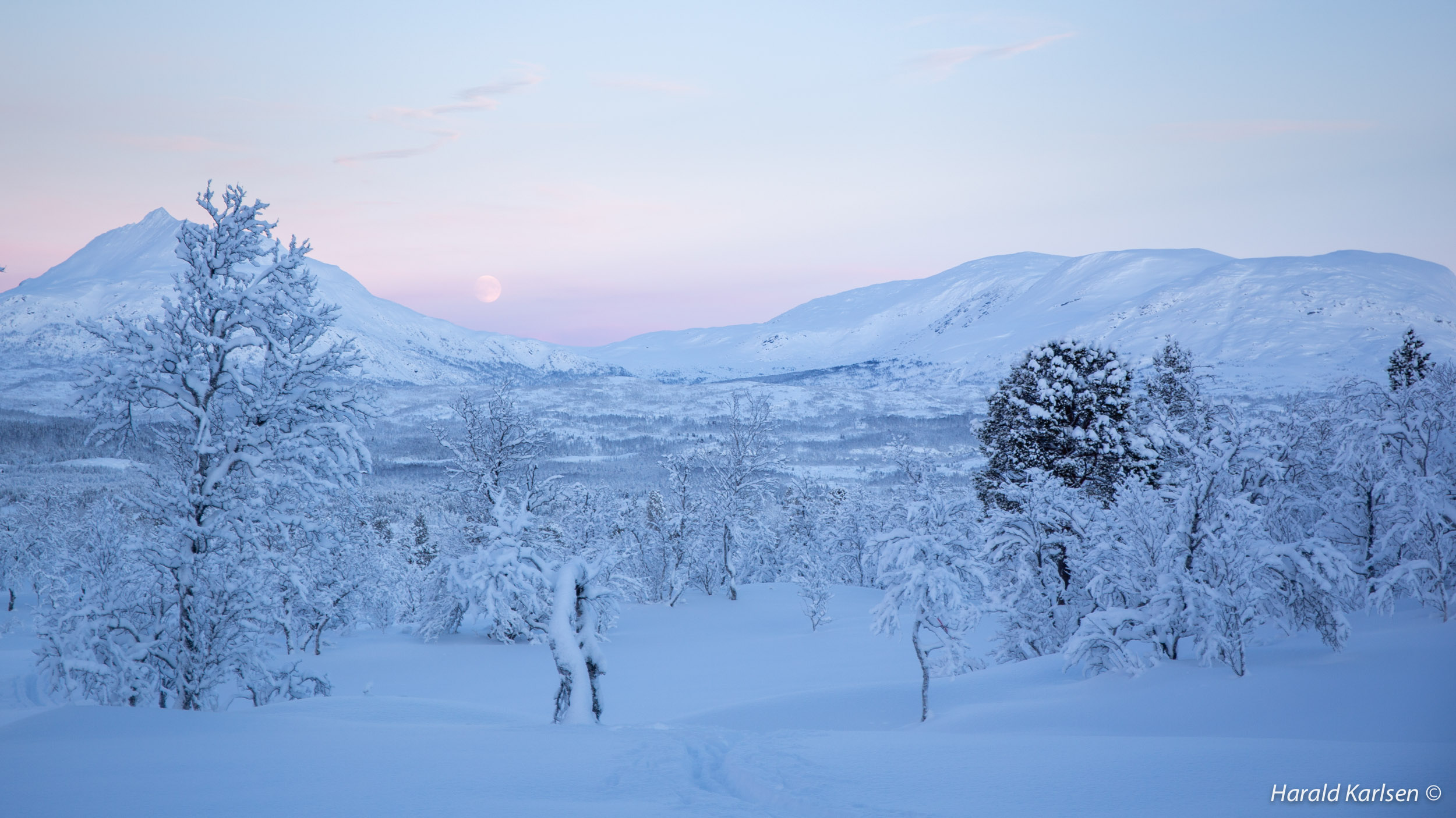 Veggfjellet6.jpg