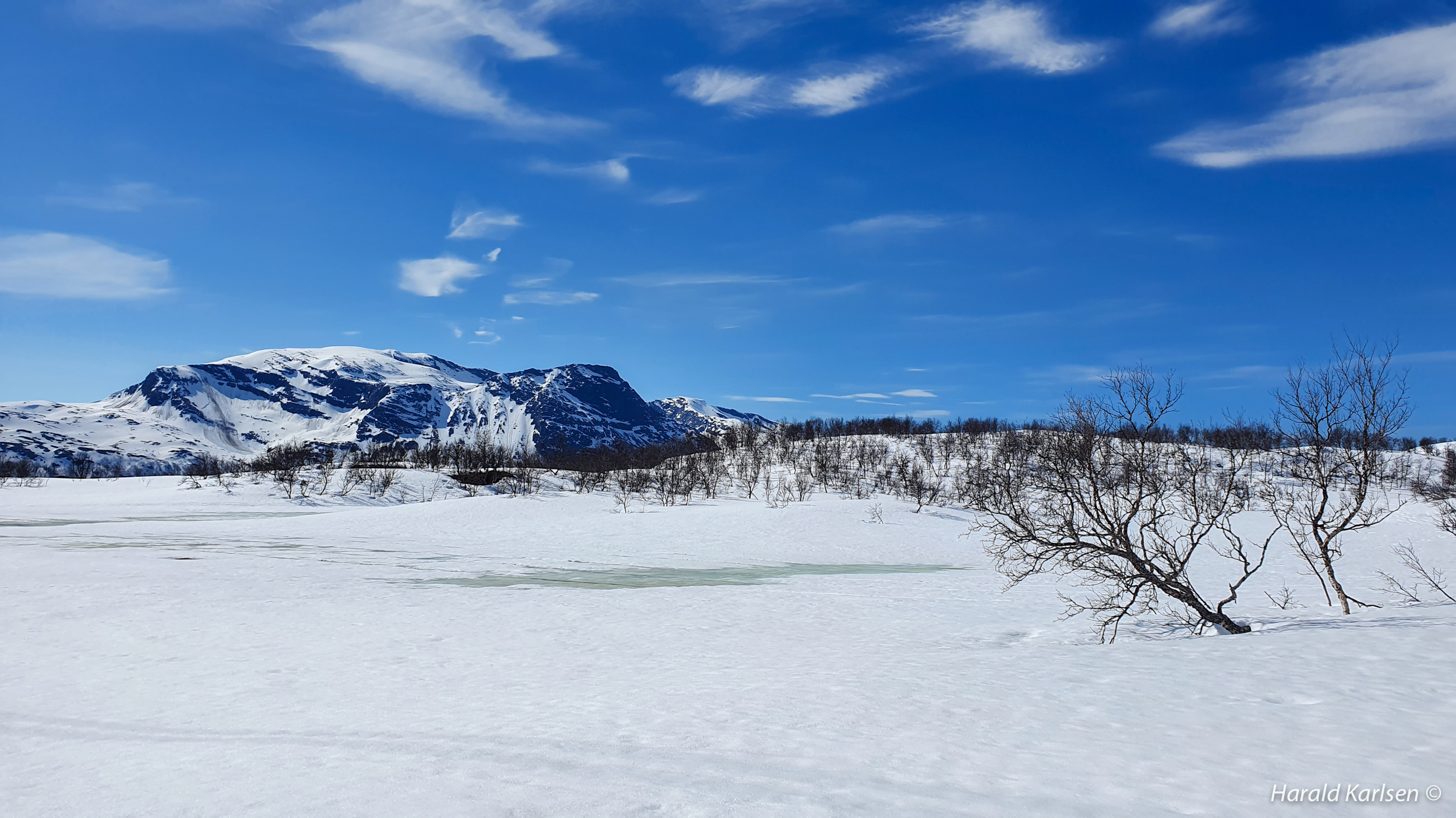 Nygårdsfjellet.jpg