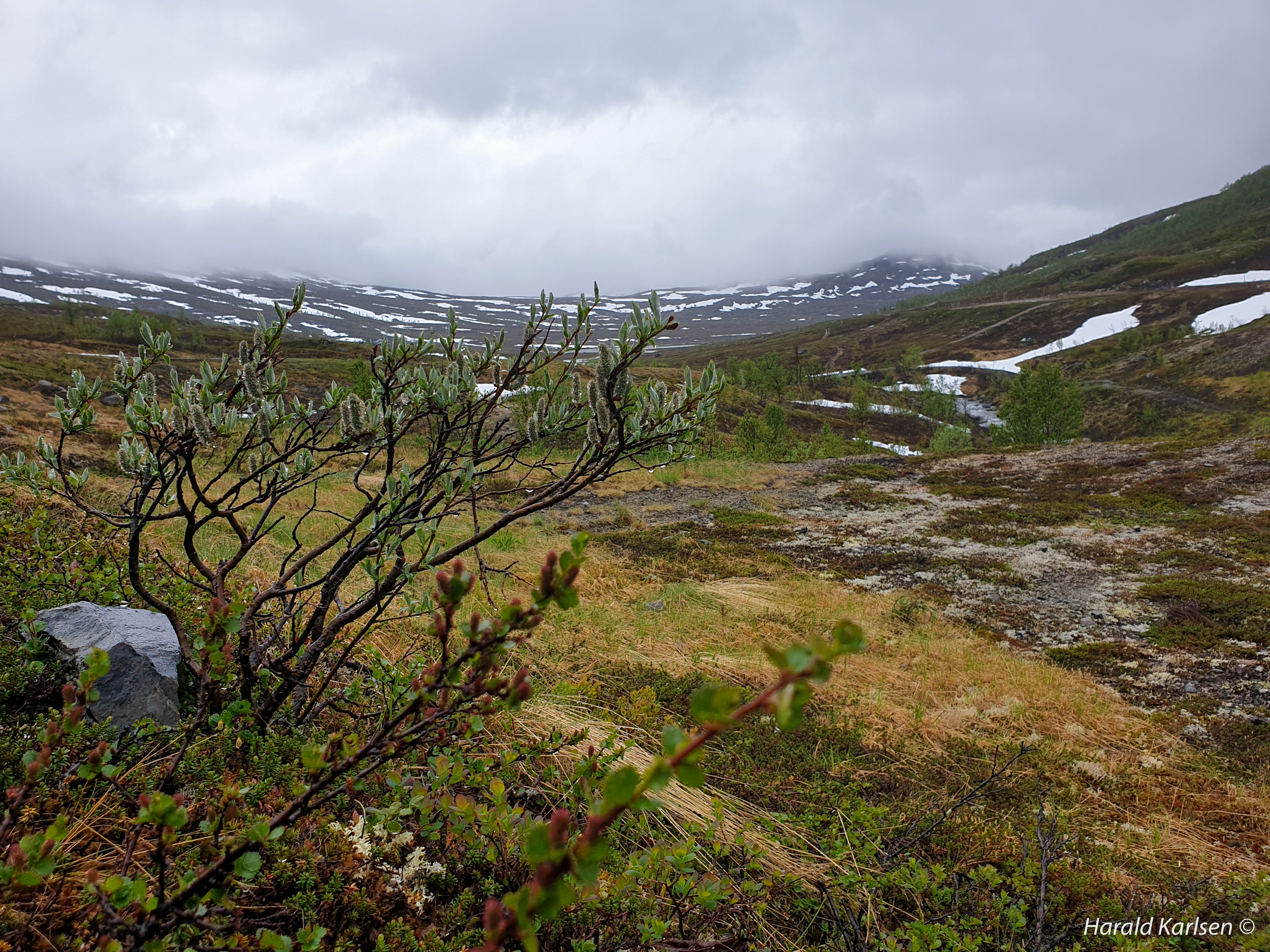 Sykkeltur5.jpg