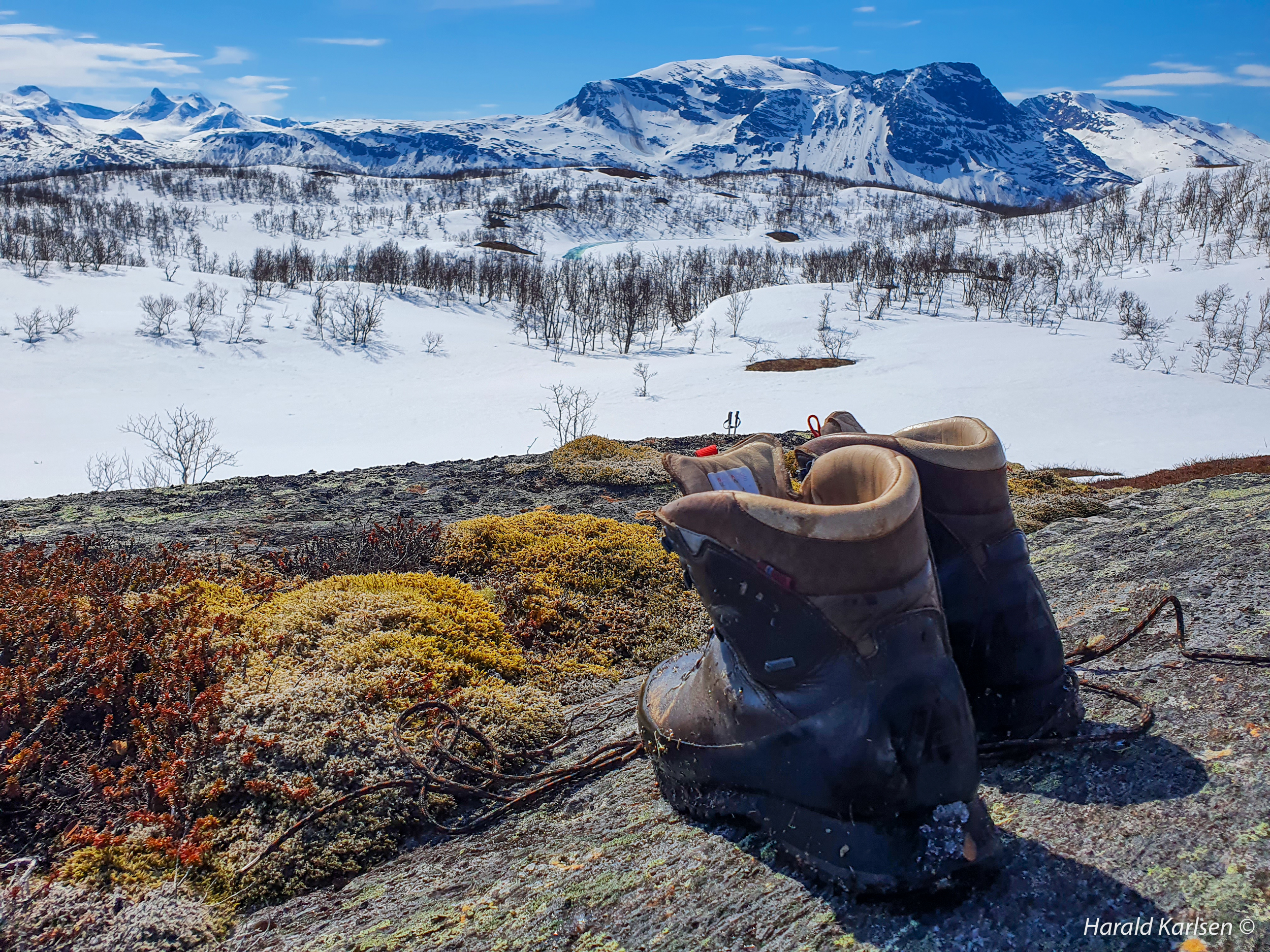 Nygårdsfjellet7.jpg