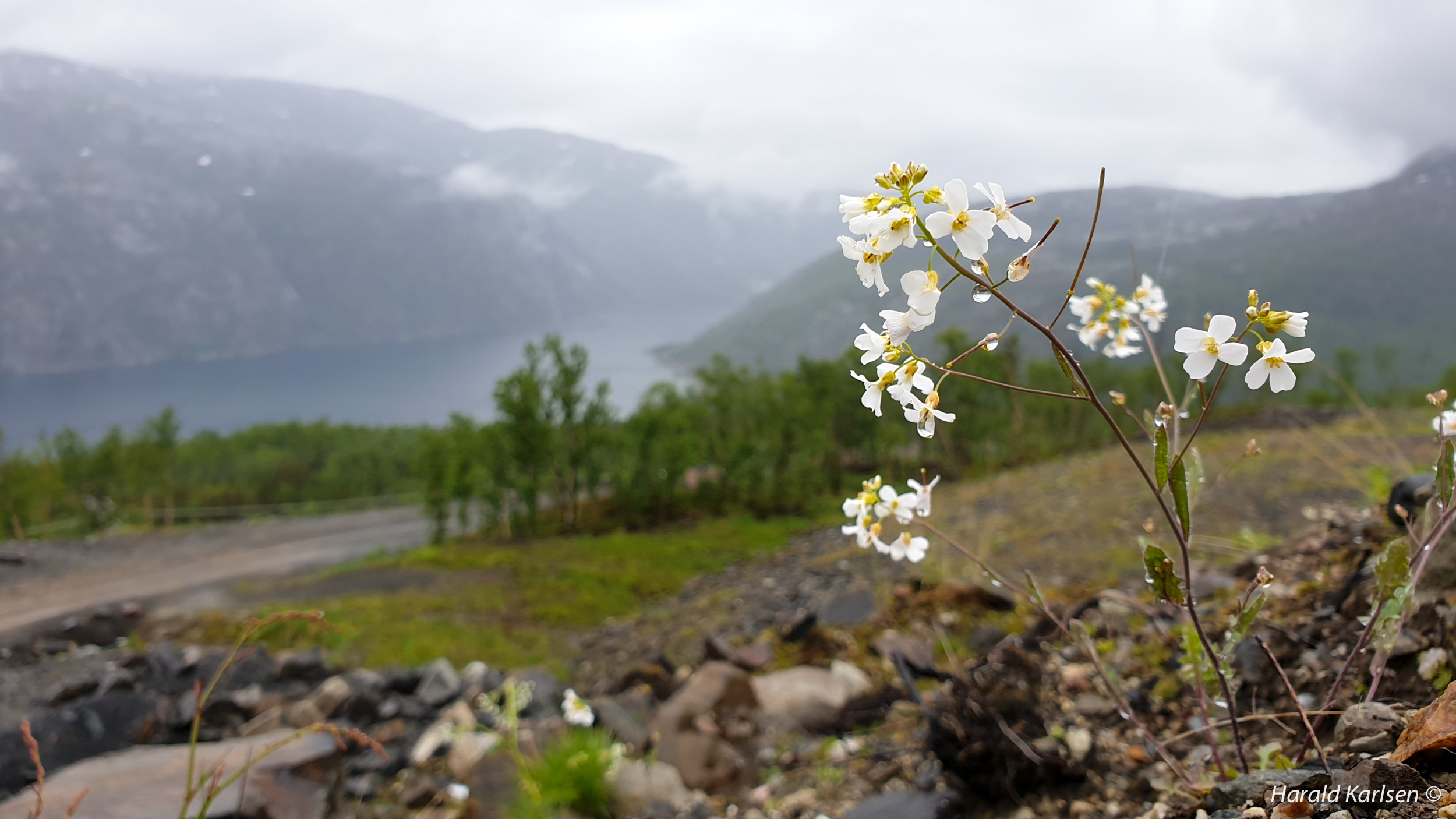 Sykkeltur3.jpg
