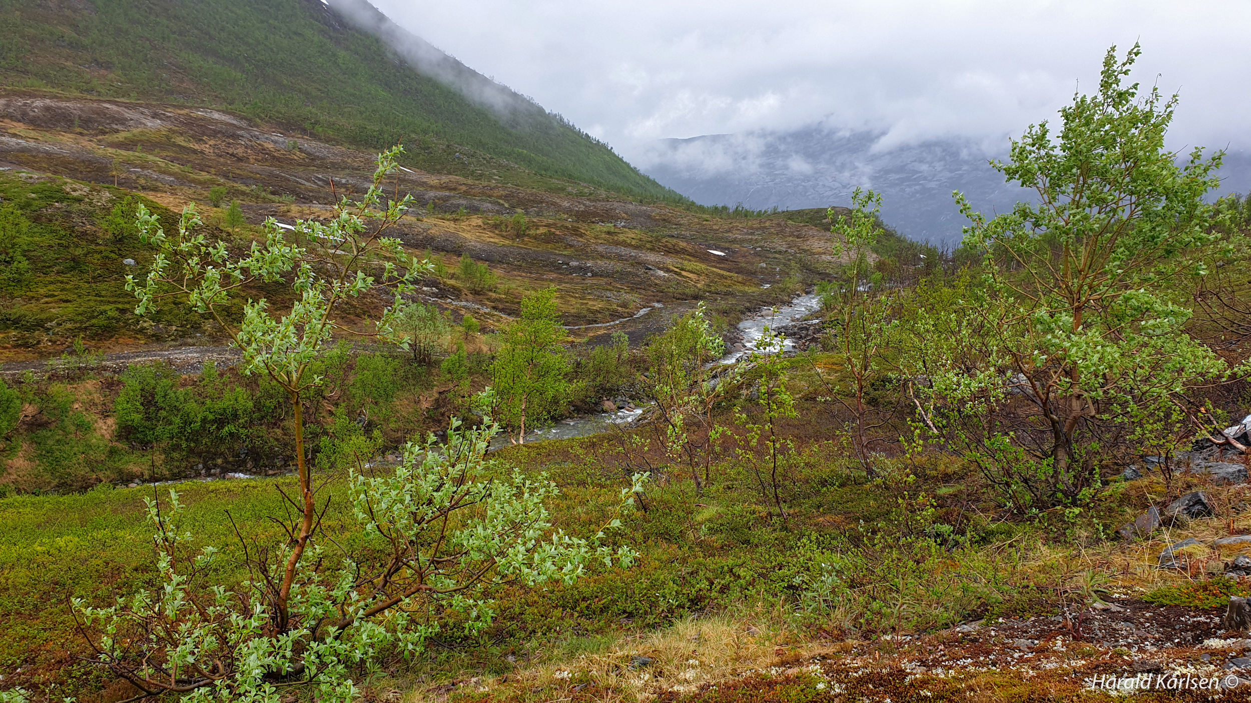 Sykkeltur7.jpg