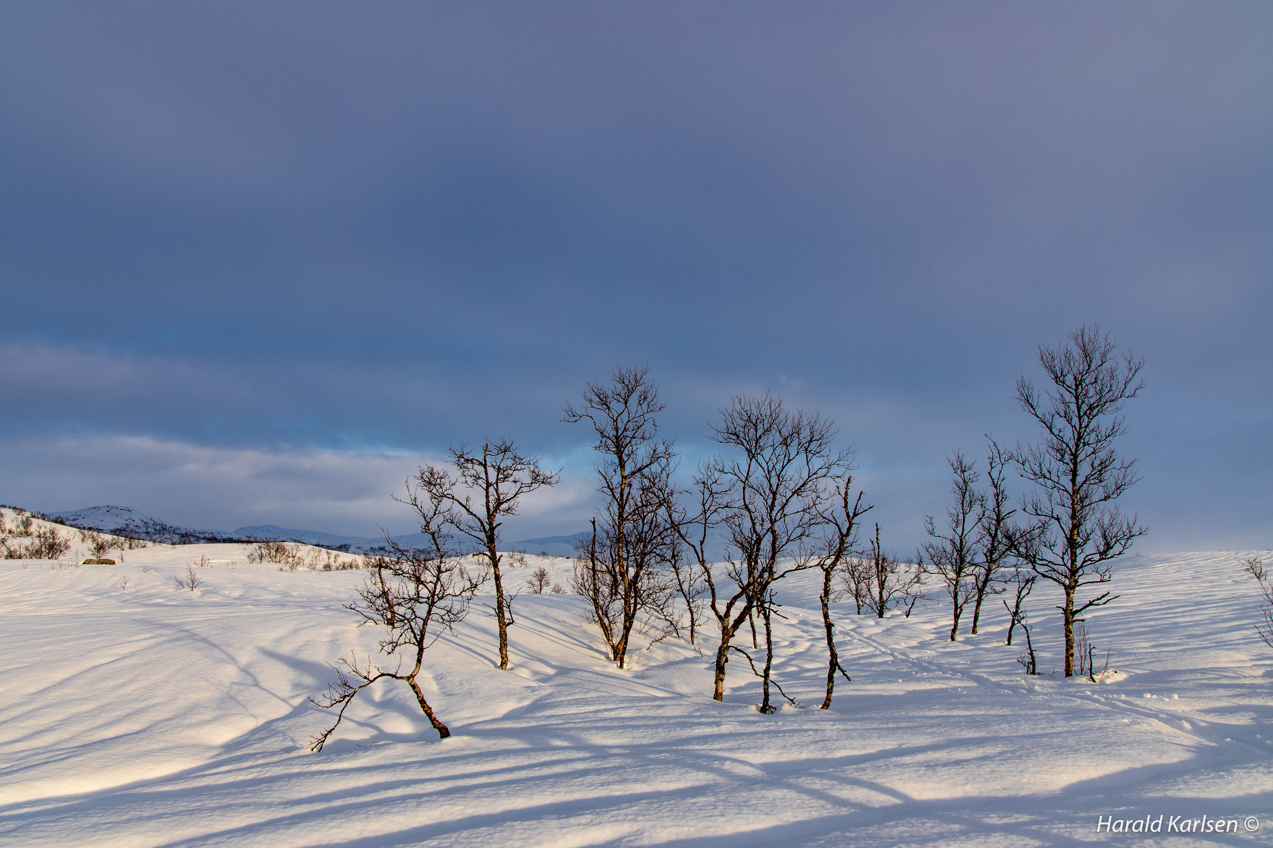 Nygårdsfjellet18.jpg