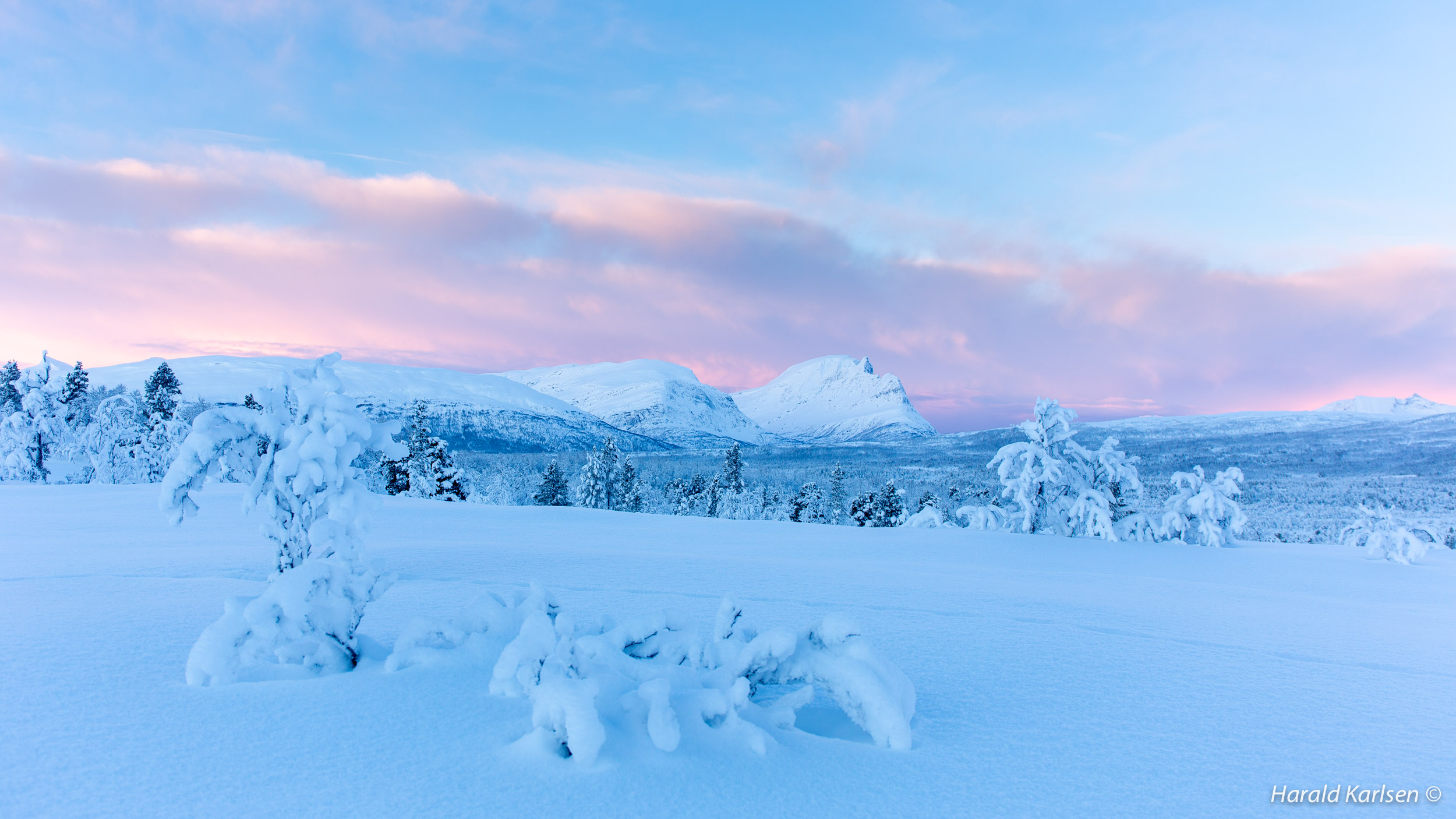 Veggfjellet7.jpg