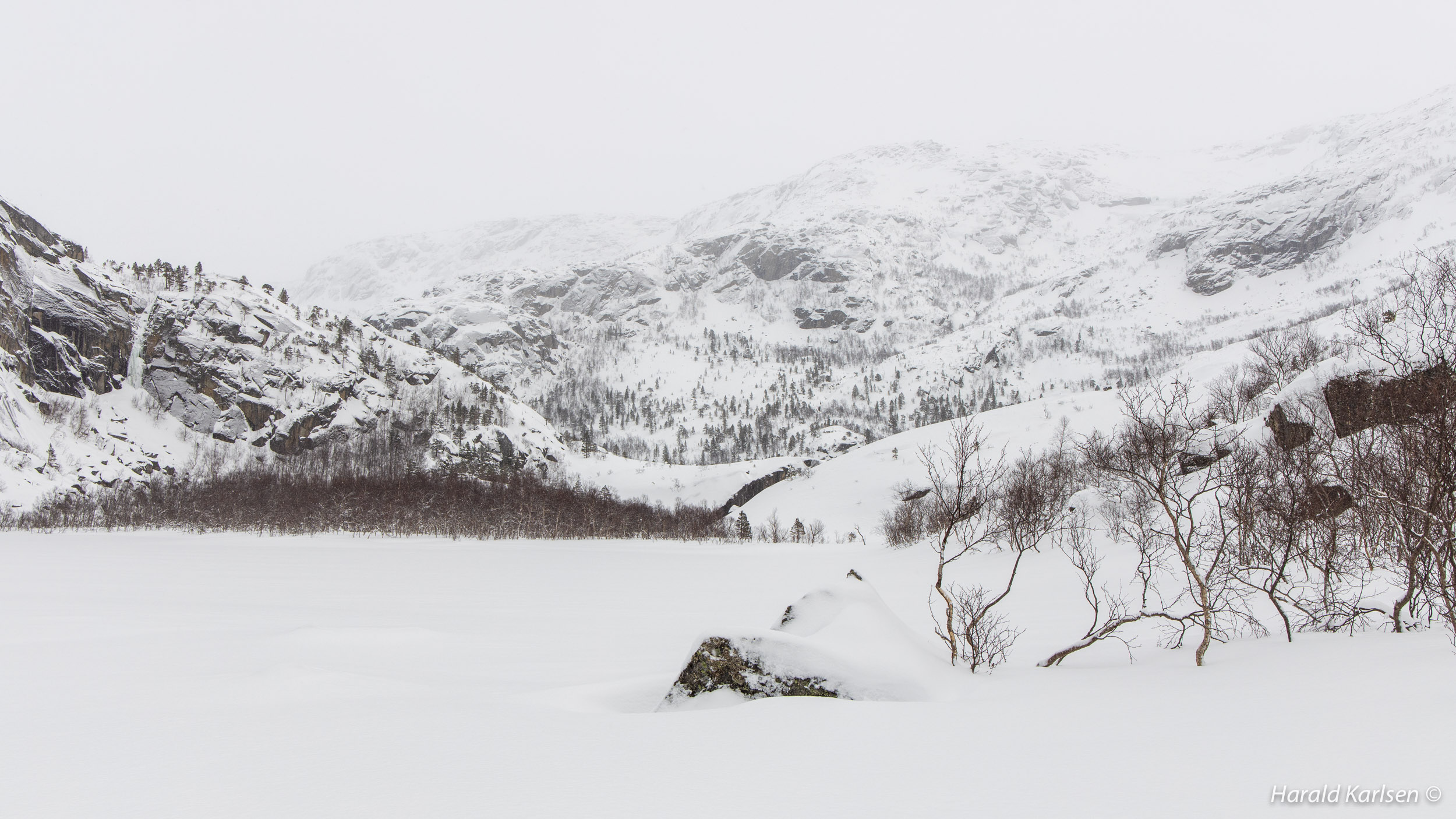 Svartdalen2.jpg