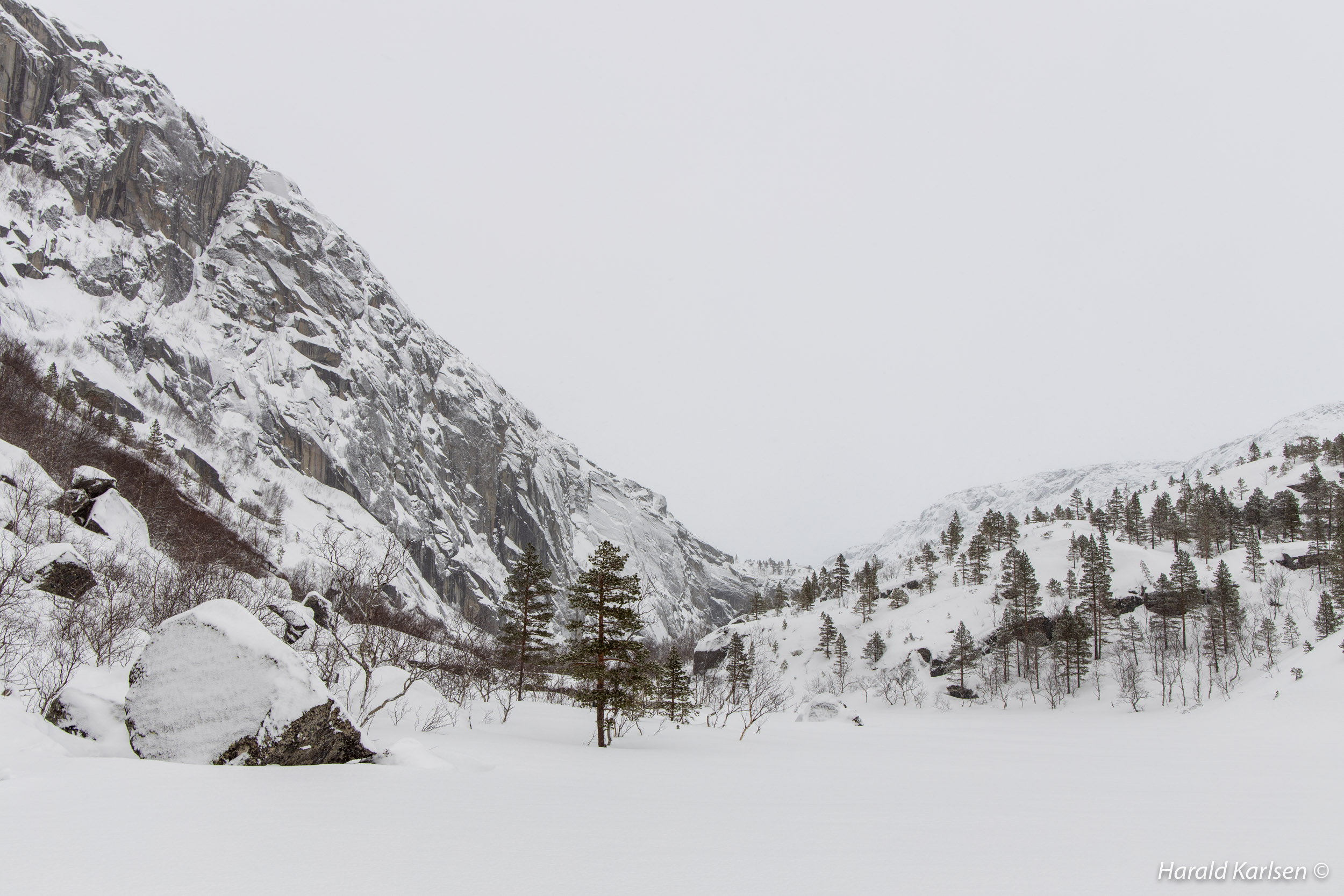 Svartdalen.jpg