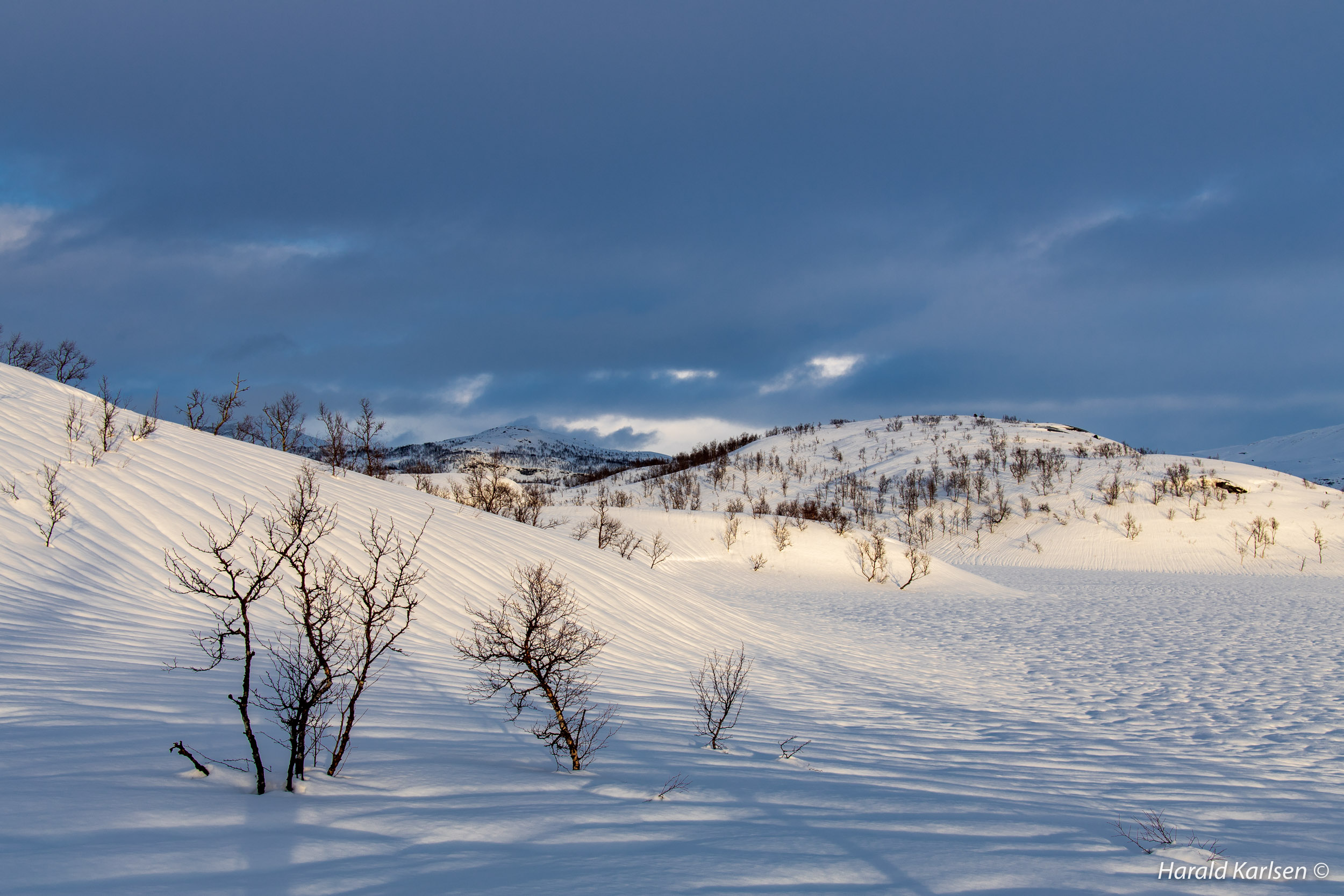 Nygårdsfjellet13.jpg