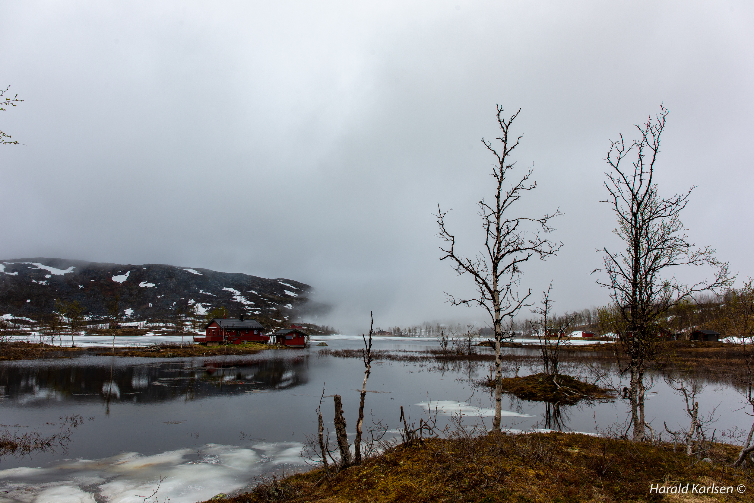 Bjørnfjell.jpg
