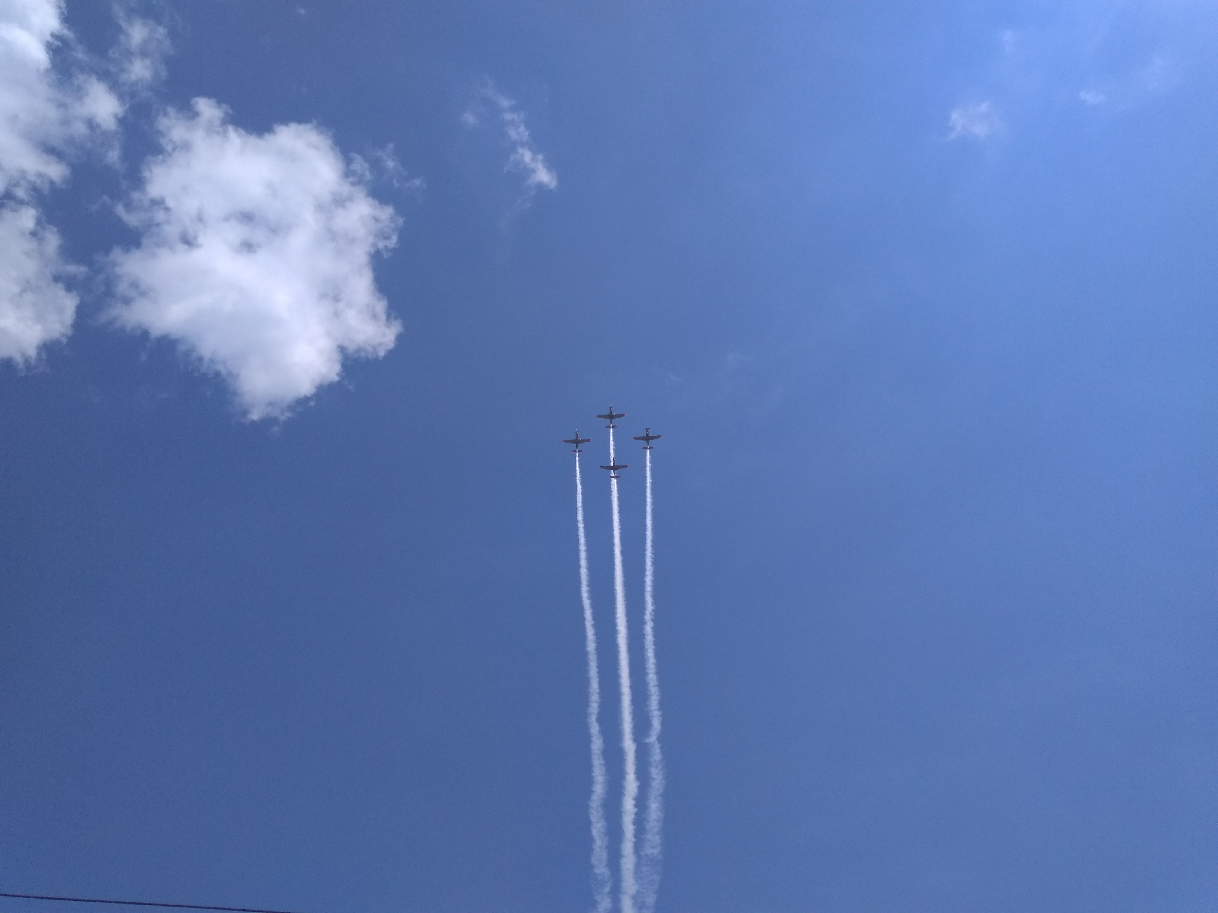 IMG_20190815_144437.jpg