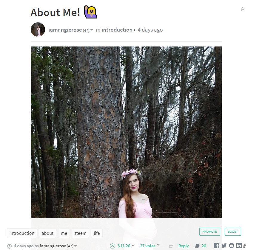 20190312 15.png