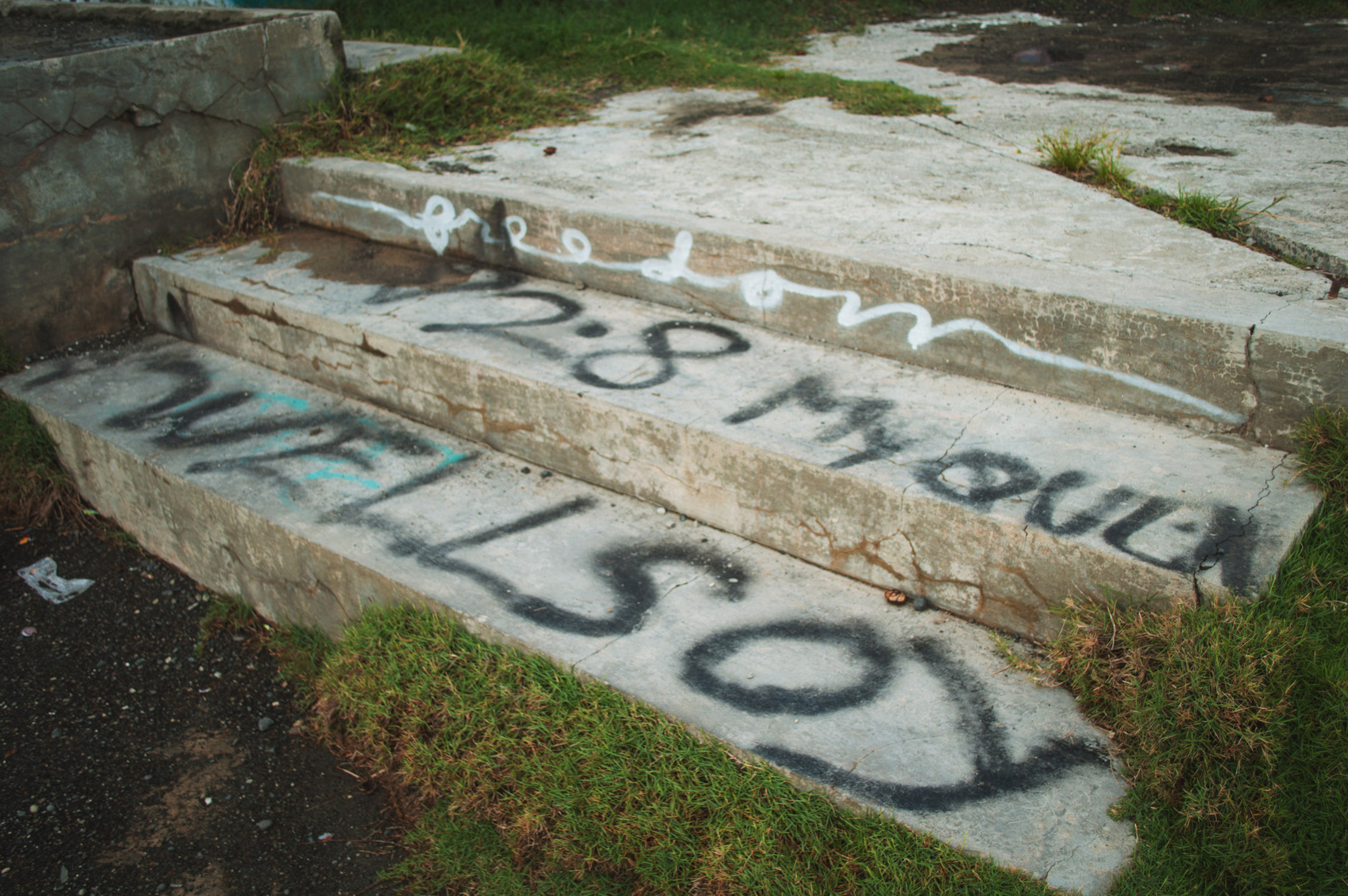 DSC_0449.JPG