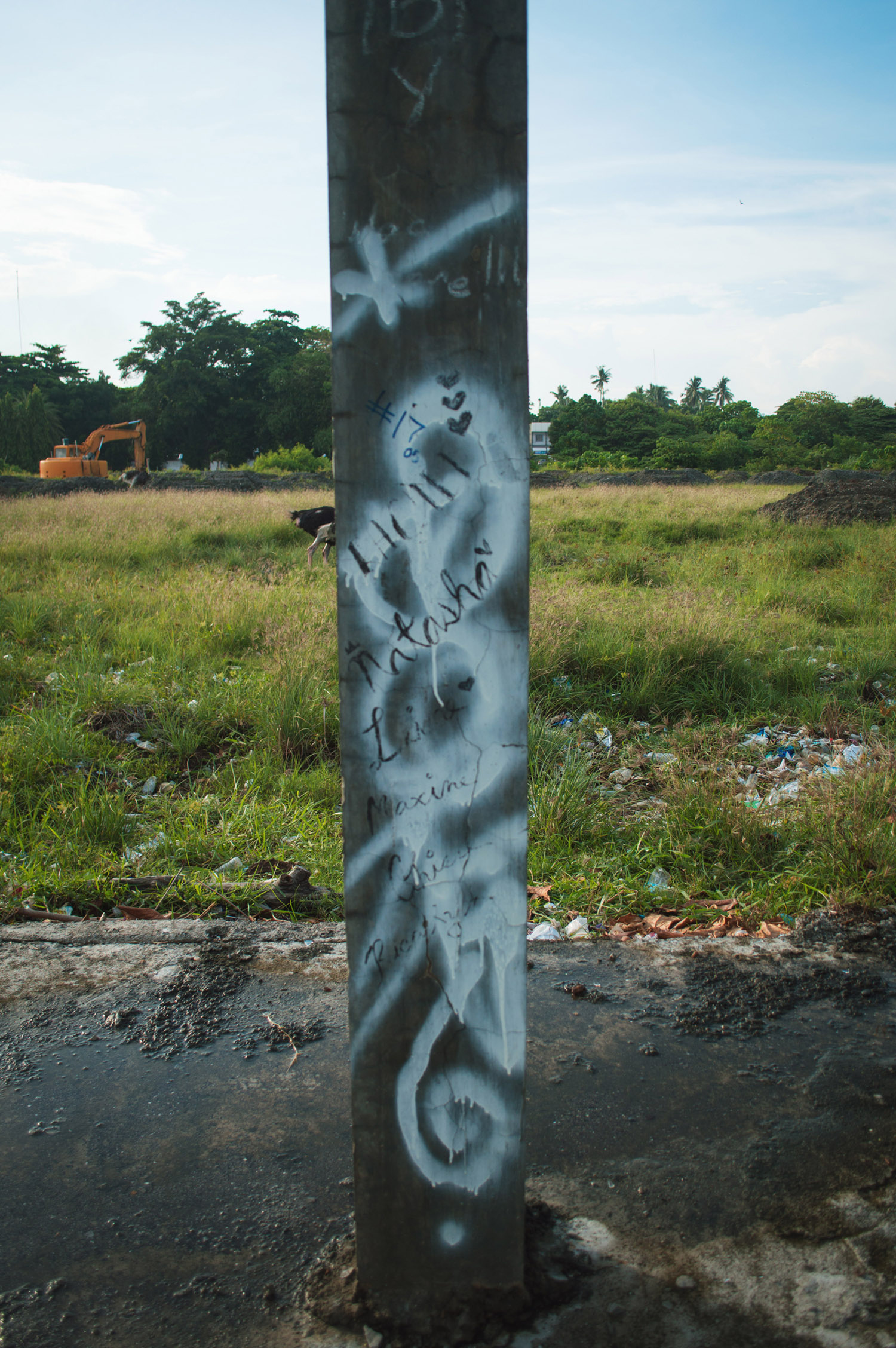DSC_0435.JPG