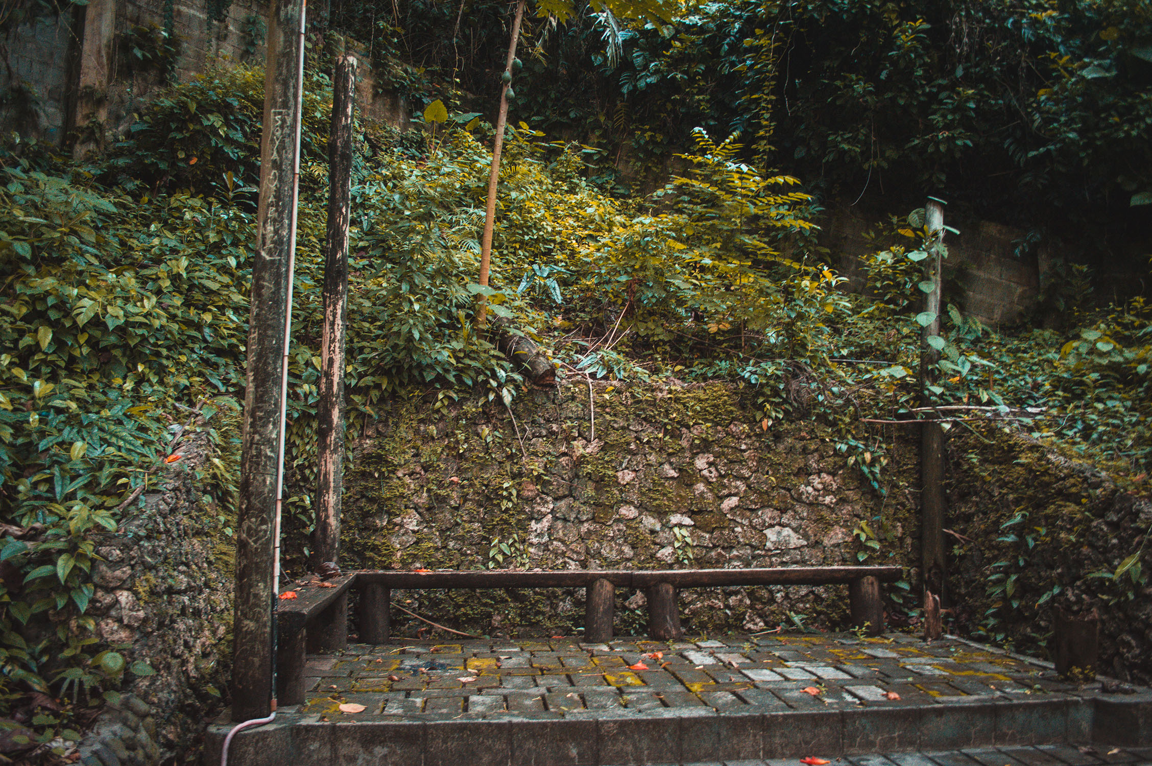 DSC_1532.jpg