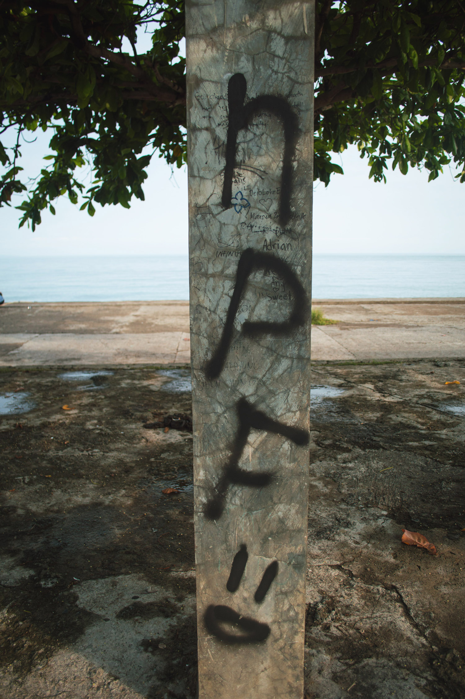 DSC_0429.JPG
