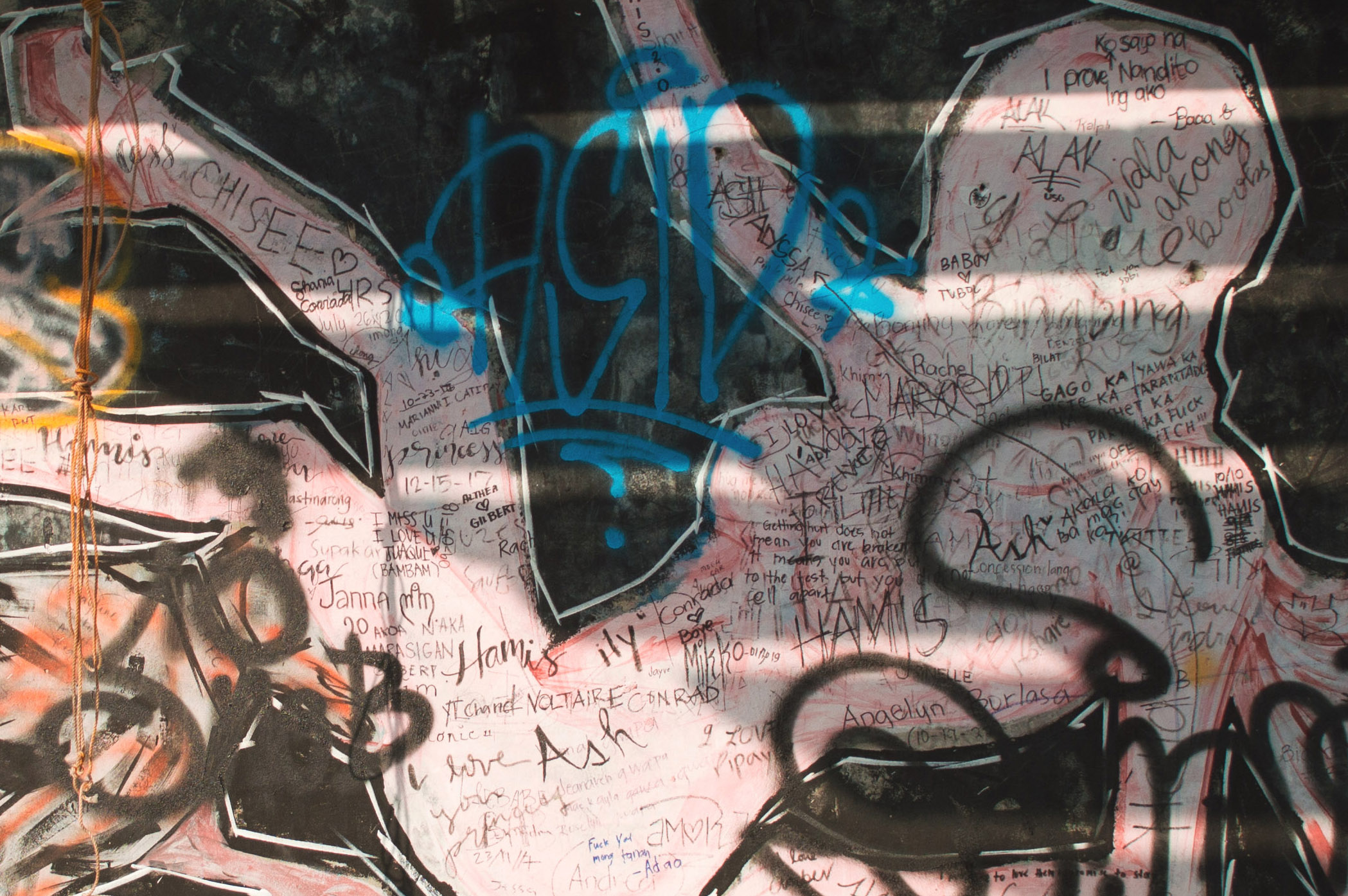 DSC_0417.JPG