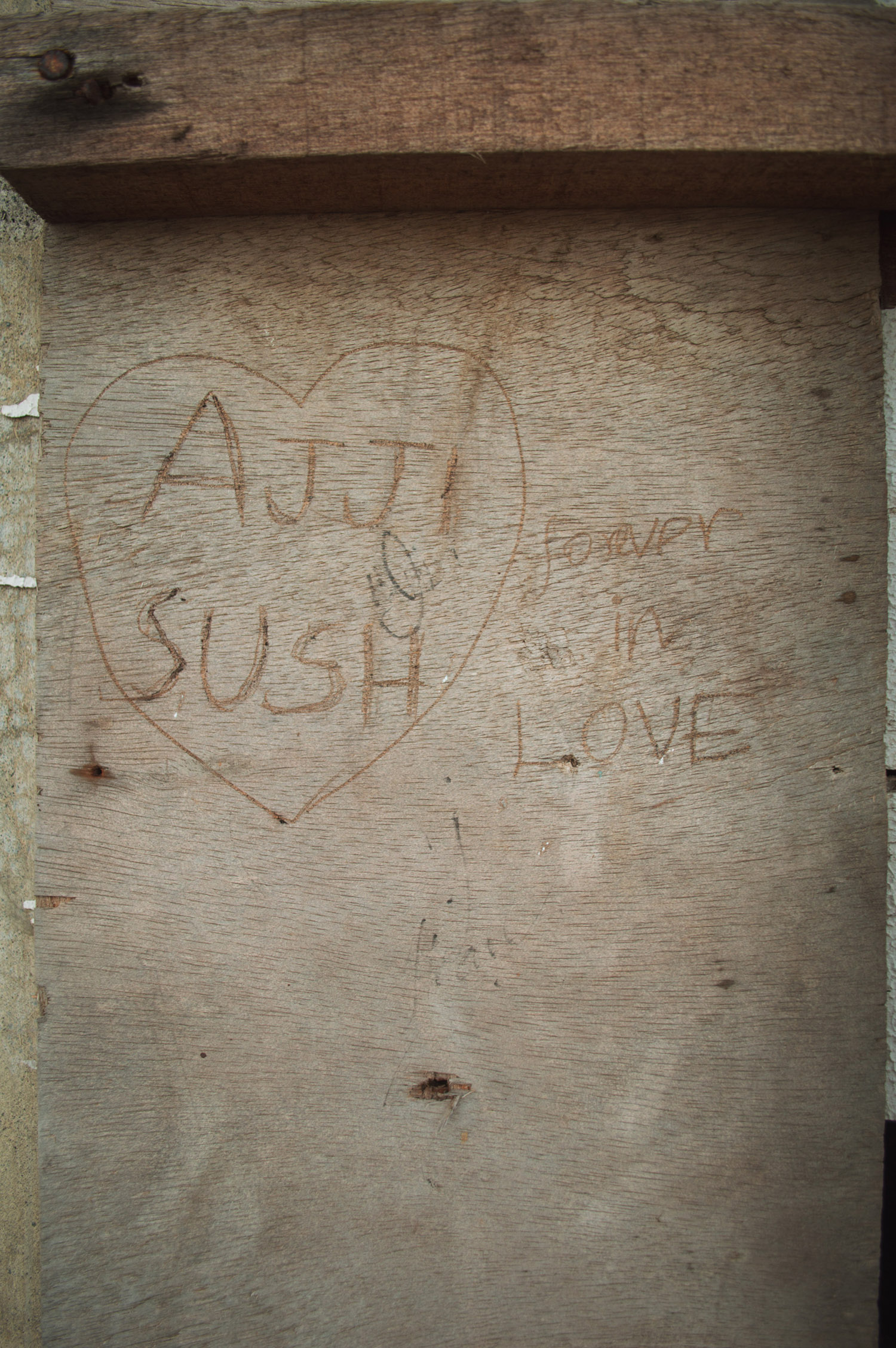 DSC_0459.JPG