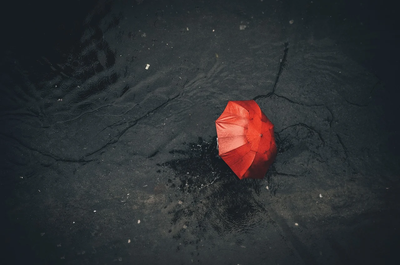 rain4421893_1280.webp