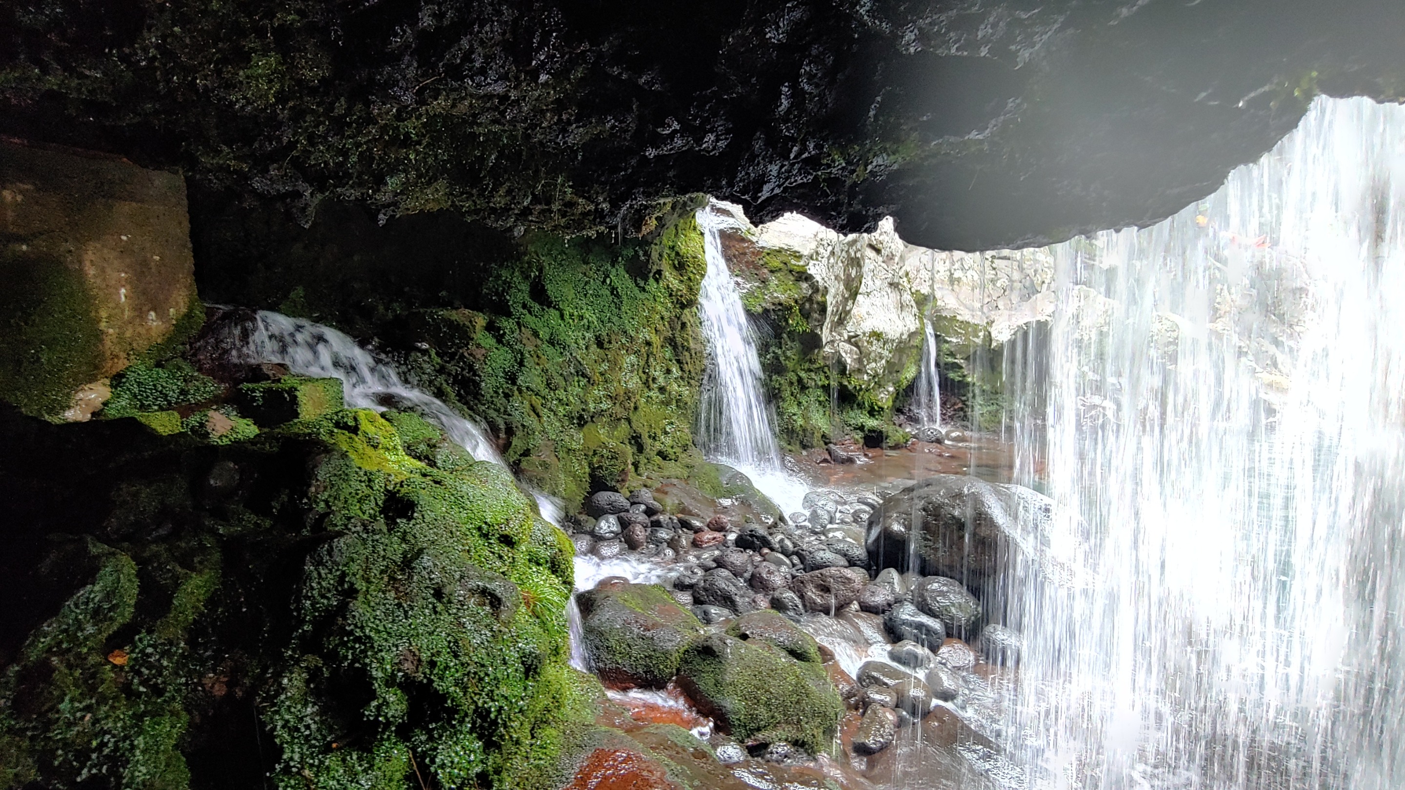 20200730_134655_HDR.jpg