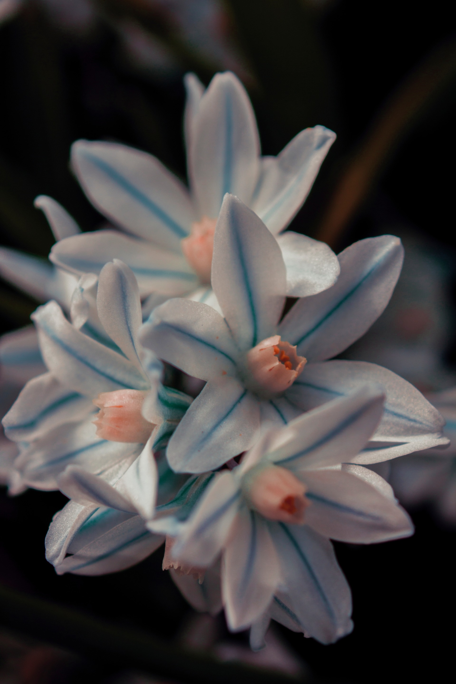 IMG_9591_1_filter.jpg