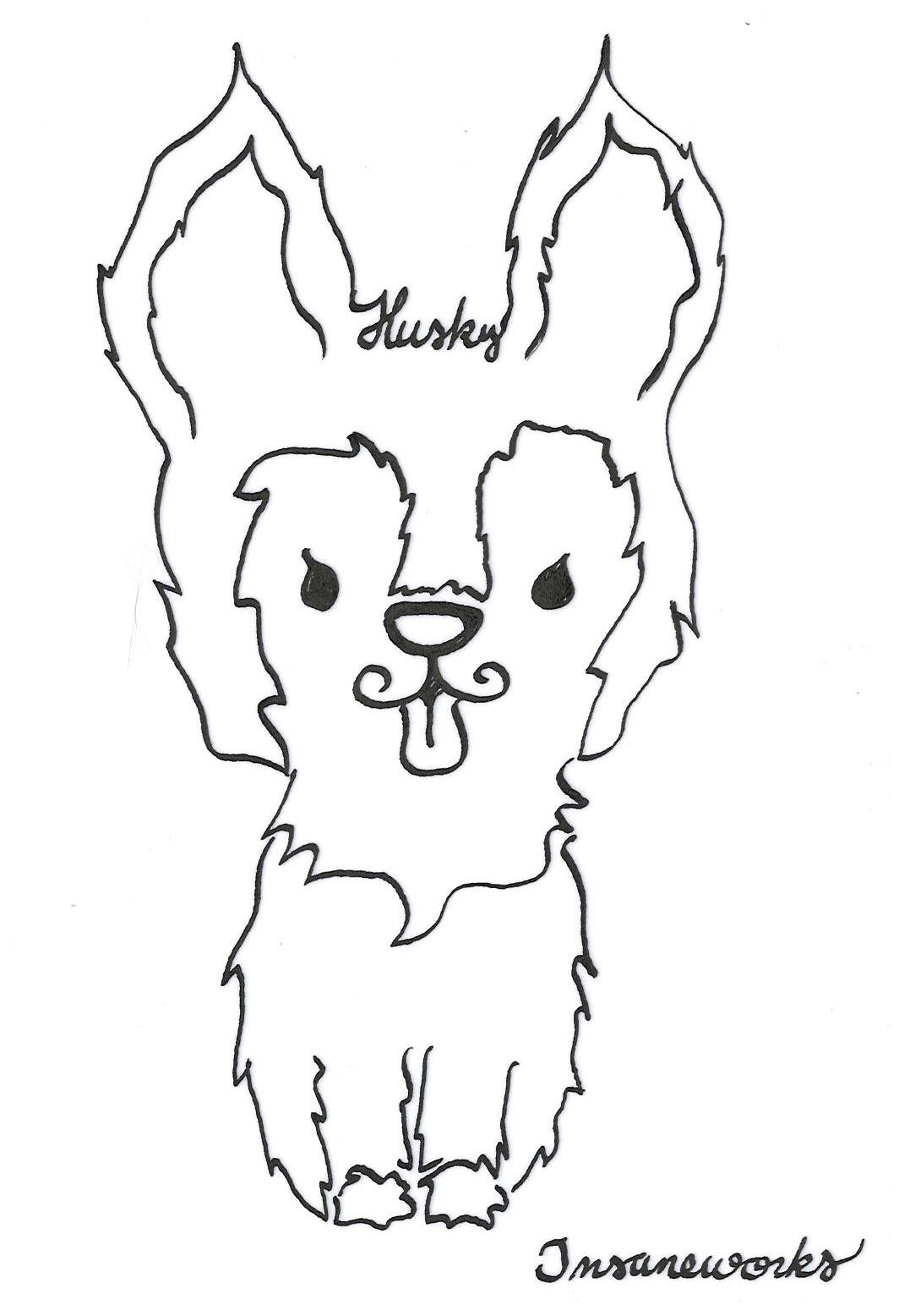 husky2.jpg